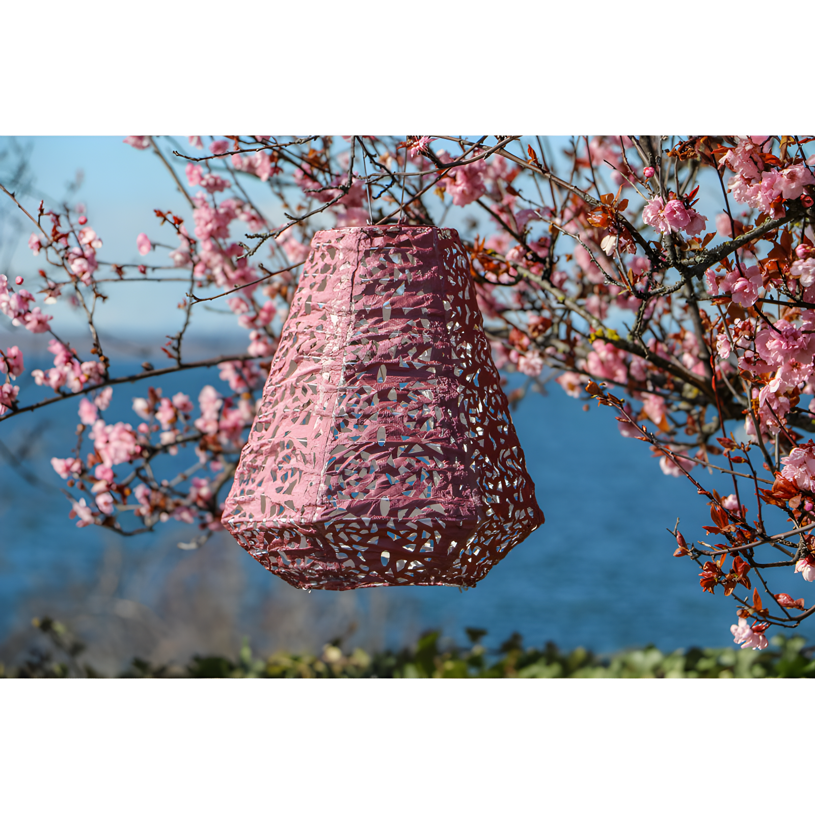 11'' Solar Powered Integrated LED Outdoor Lantern