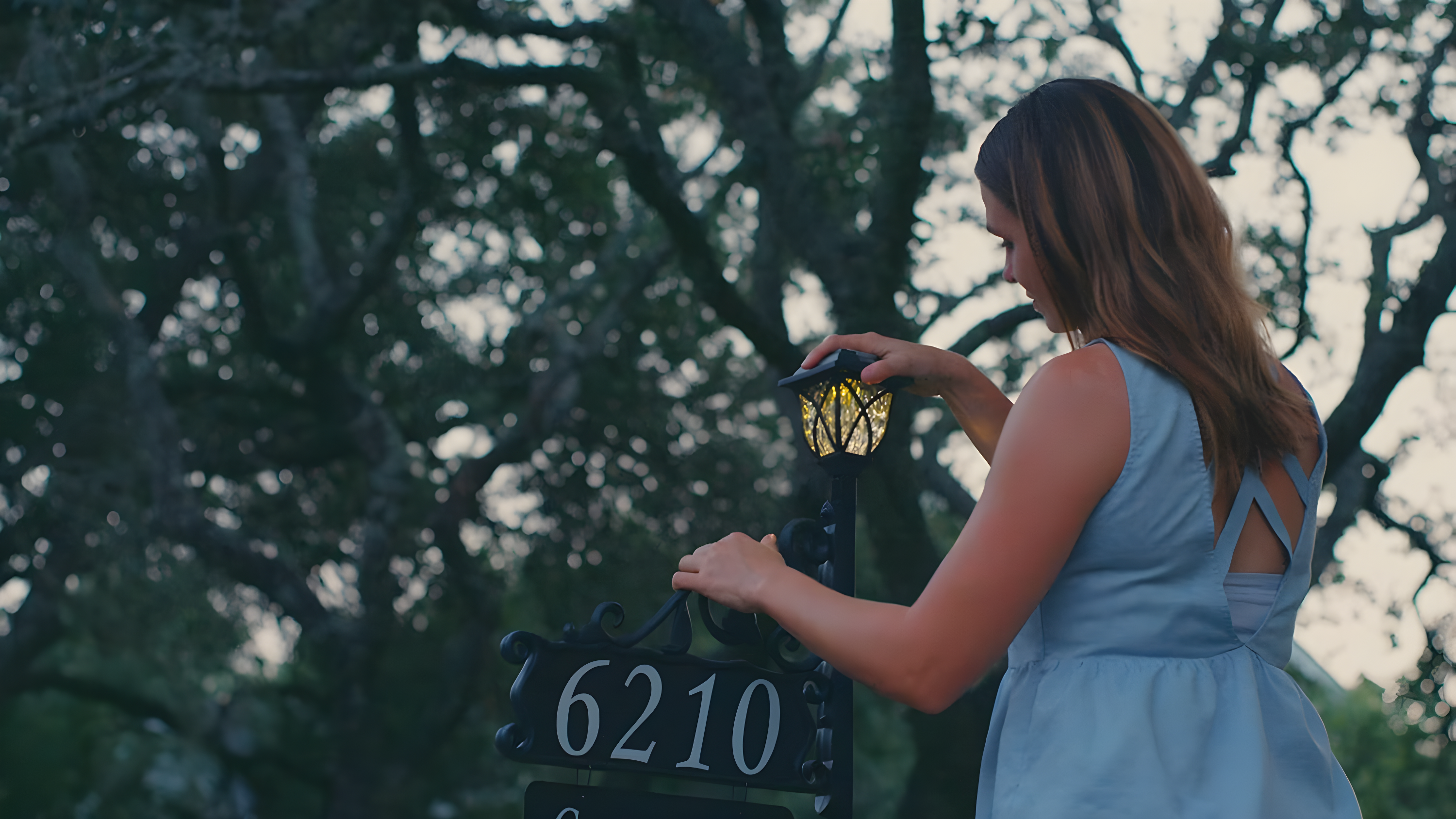 Address America Double-Sided Reflective Boardwalk Lawn Address Sign With Name Rider And LED Solar Light on 58" Pole