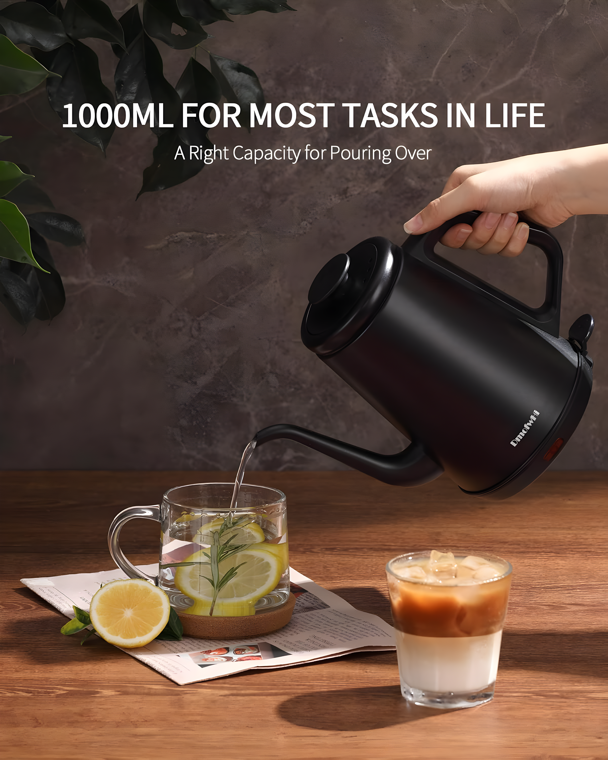 SEGUIRA SEGUIRA Stainless Steel Electric Tea Kettle