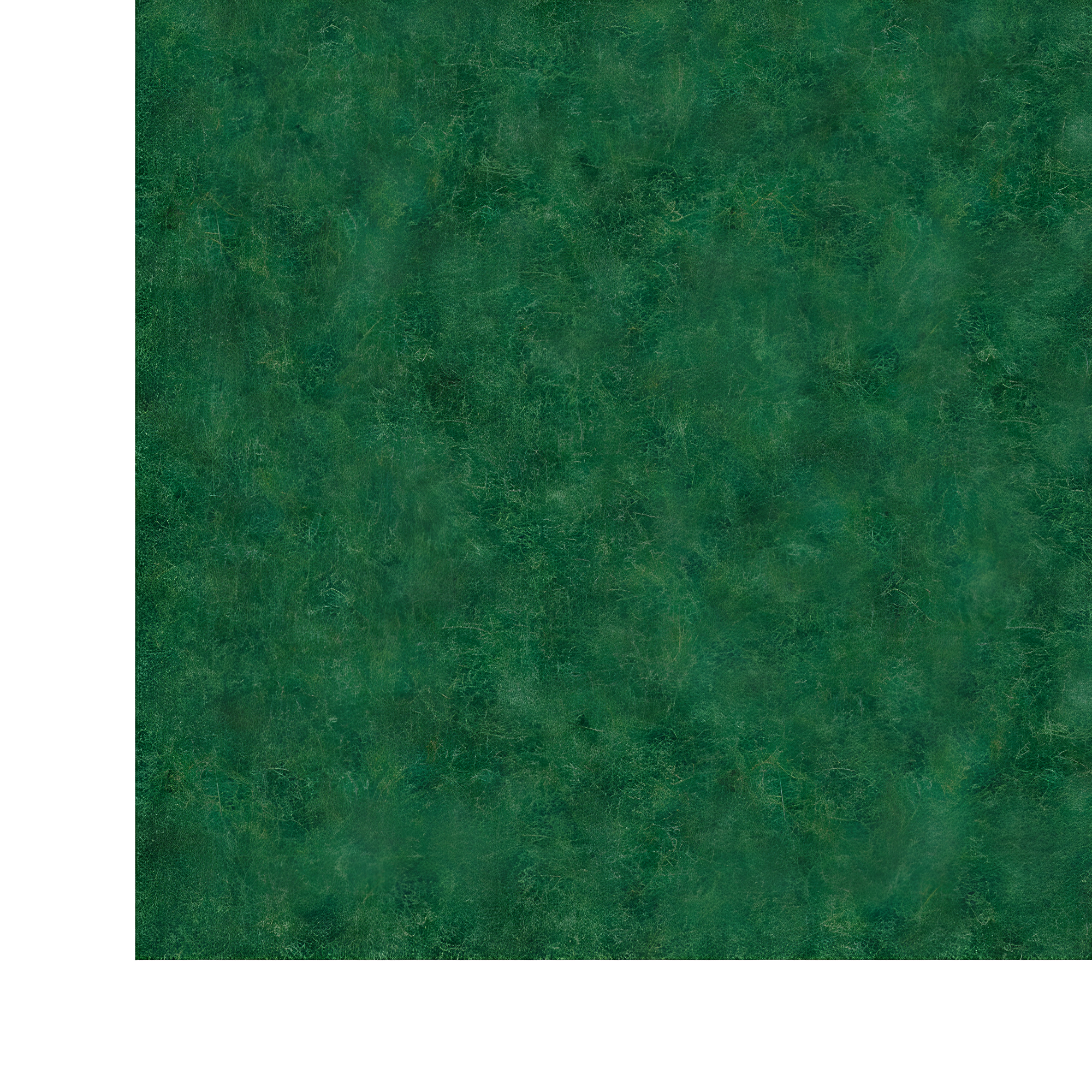 Green Polyester Non-Slip Indoor/Outdoor Runner Rug 3x6