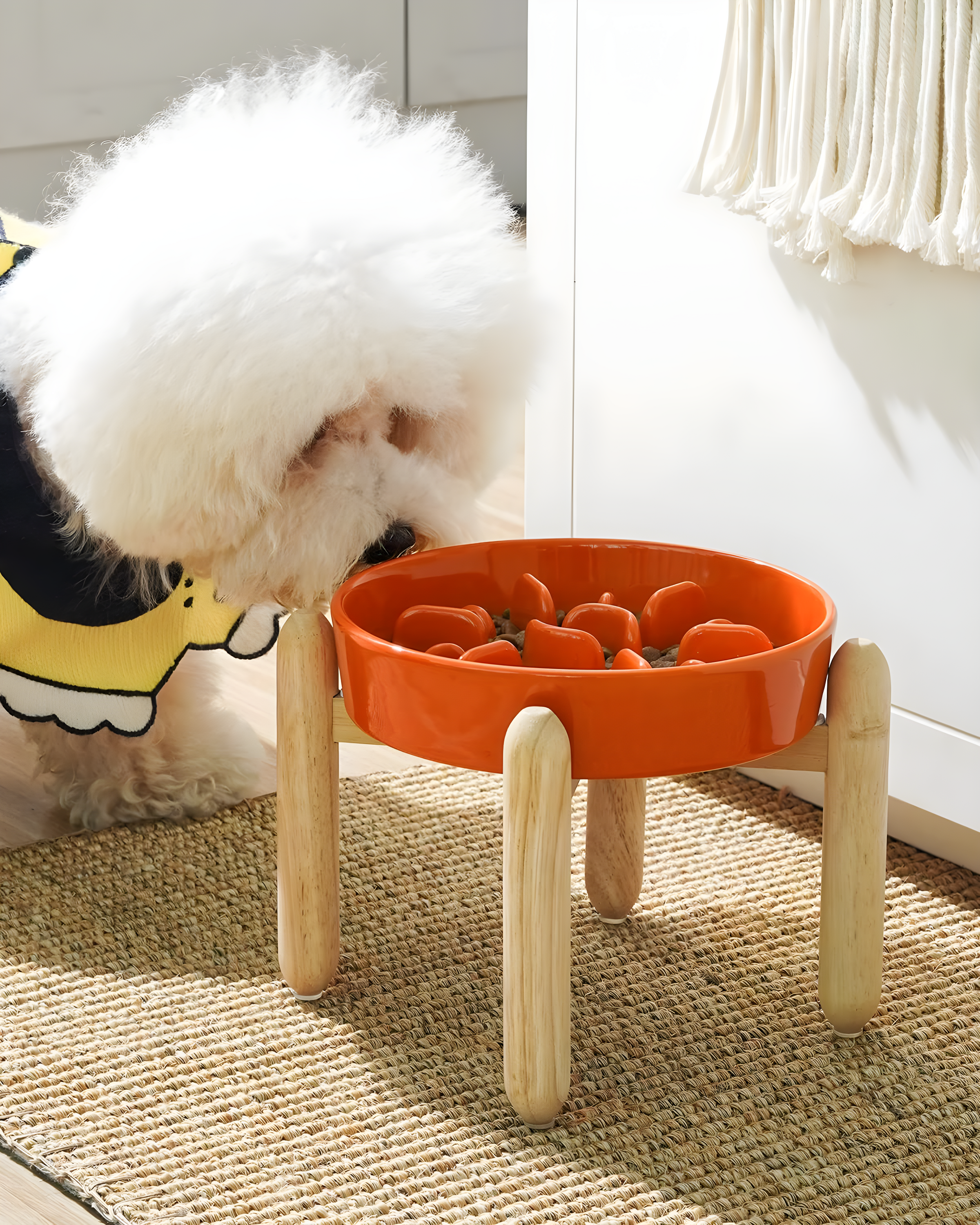 Ceramic Slow Feed Dog Bowls