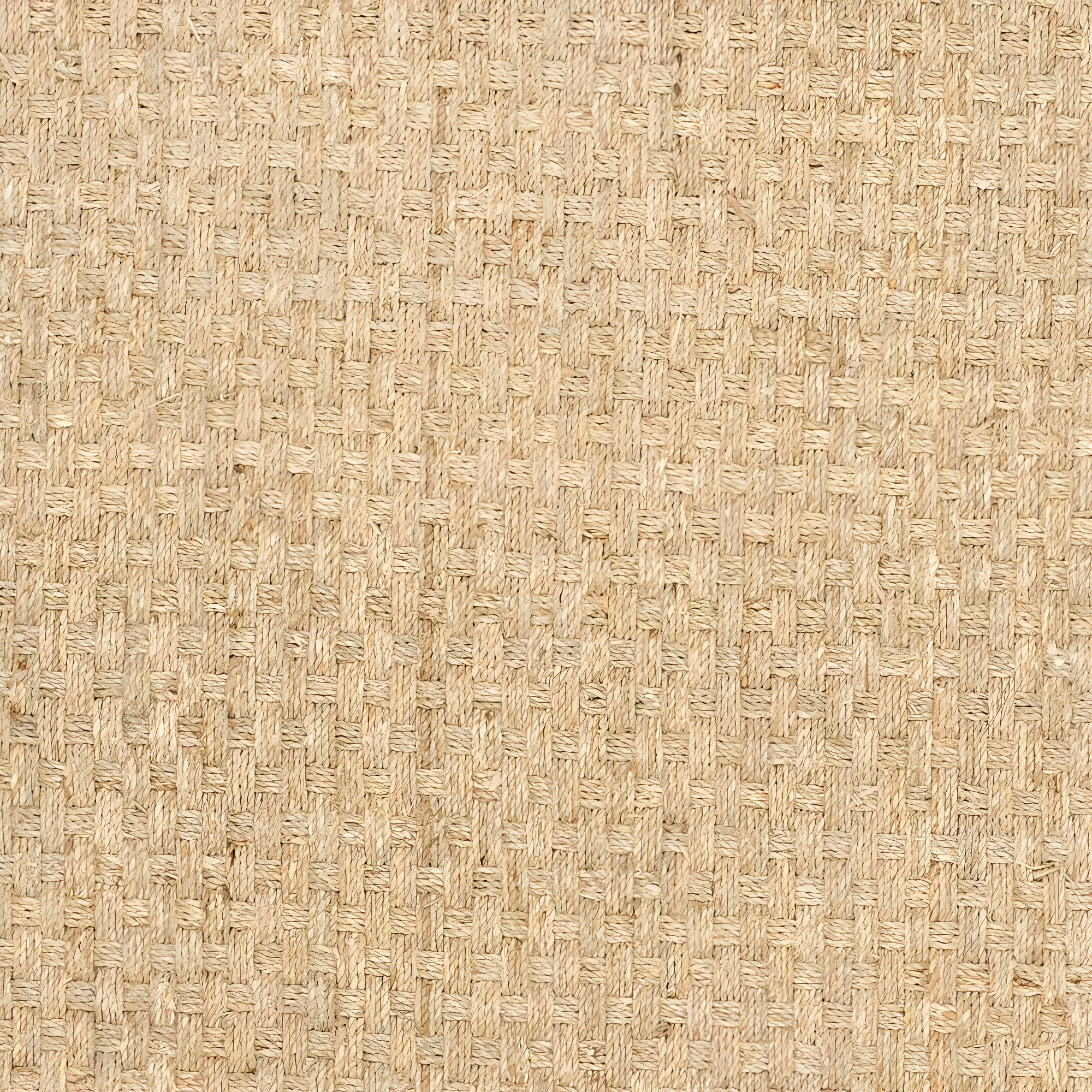 SAFAVIEH Natural Fiber Arbor Border Area Rug, Natural/Olive, 6' x 9'