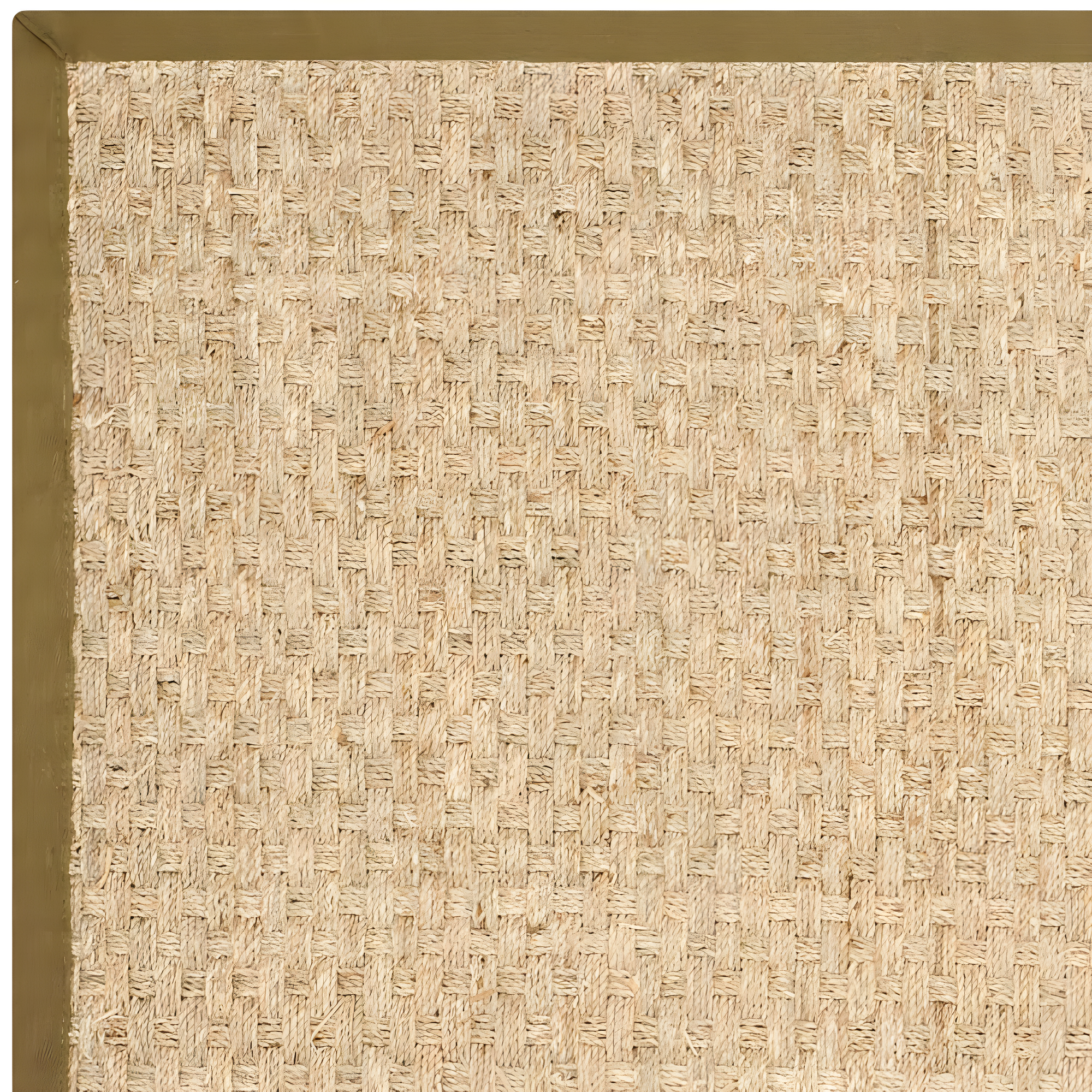 SAFAVIEH Natural Fiber Arbor Border Area Rug, Natural/Olive, 6' x 9'