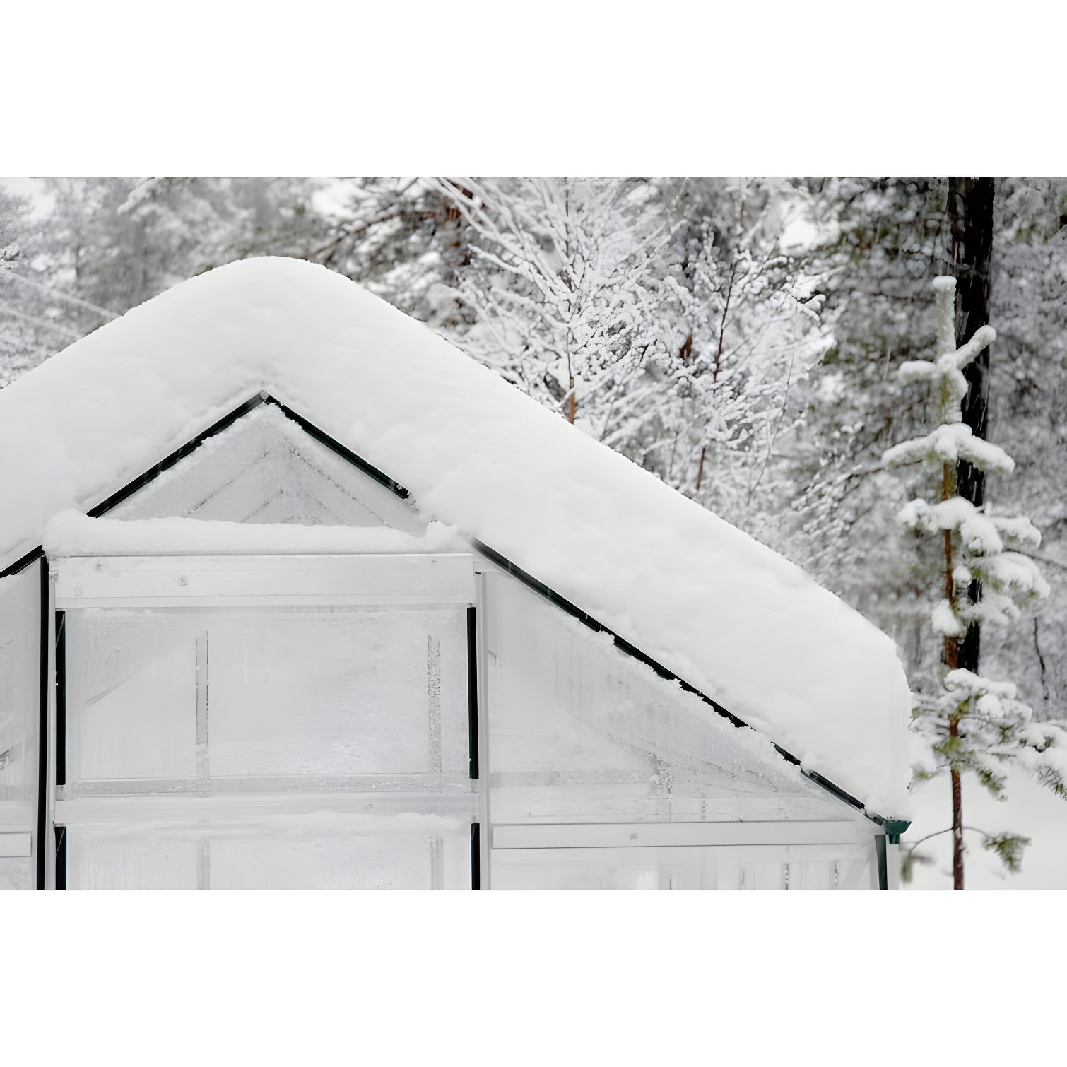 Canopia Palram - Canopia Hybrid Polycarbonate Hobby Greenhouse & Reviews | Wayfair