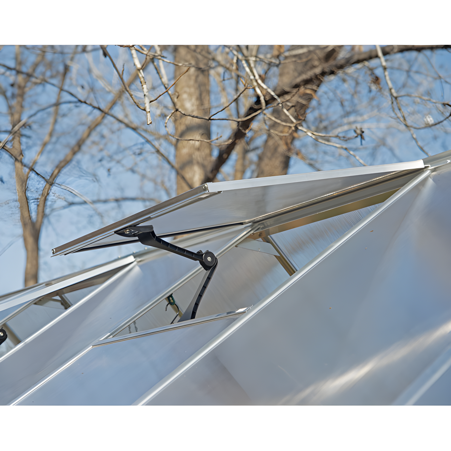 Canopia Palram - Canopia Hybrid Polycarbonate Hobby Greenhouse & Reviews | Wayfair