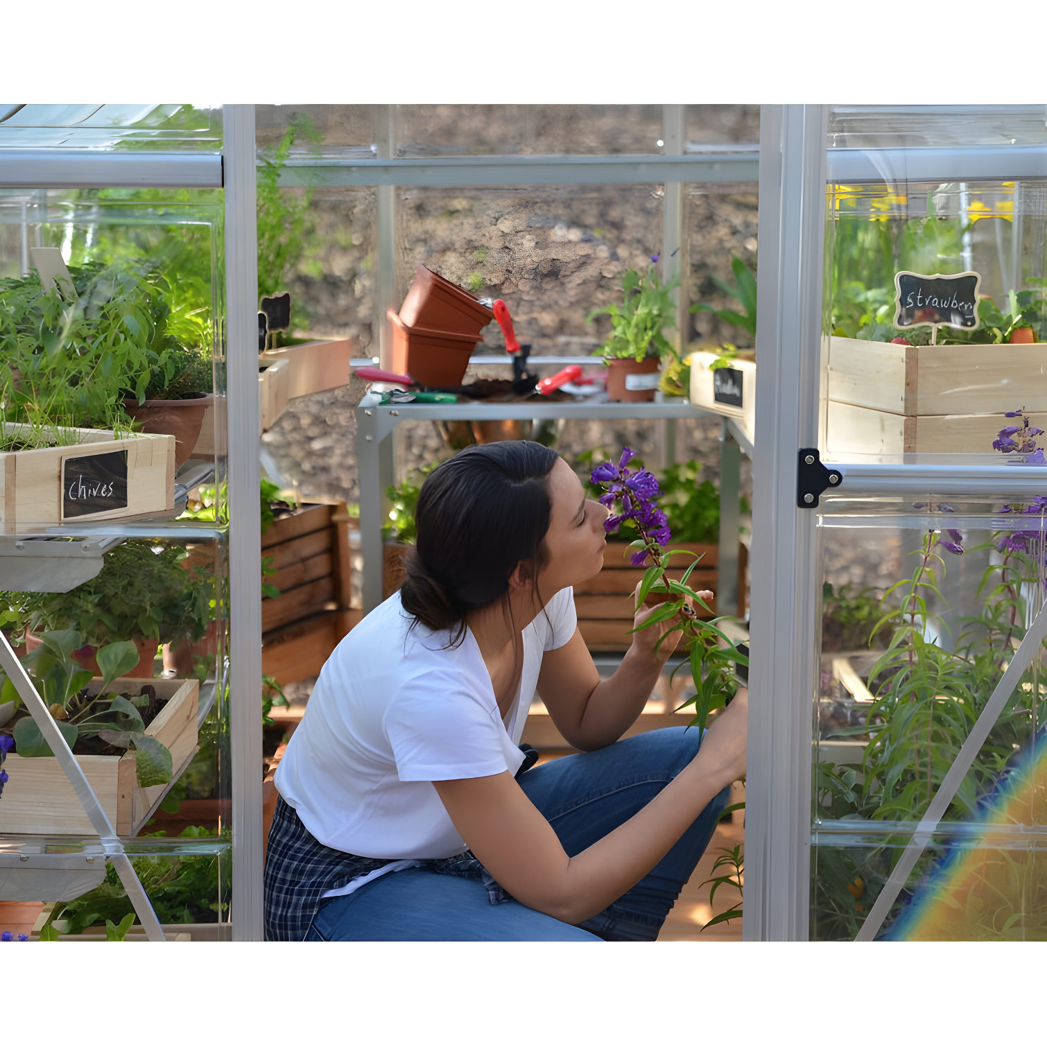Canopia Palram - Canopia Hybrid Polycarbonate Hobby Greenhouse & Reviews | Wayfair