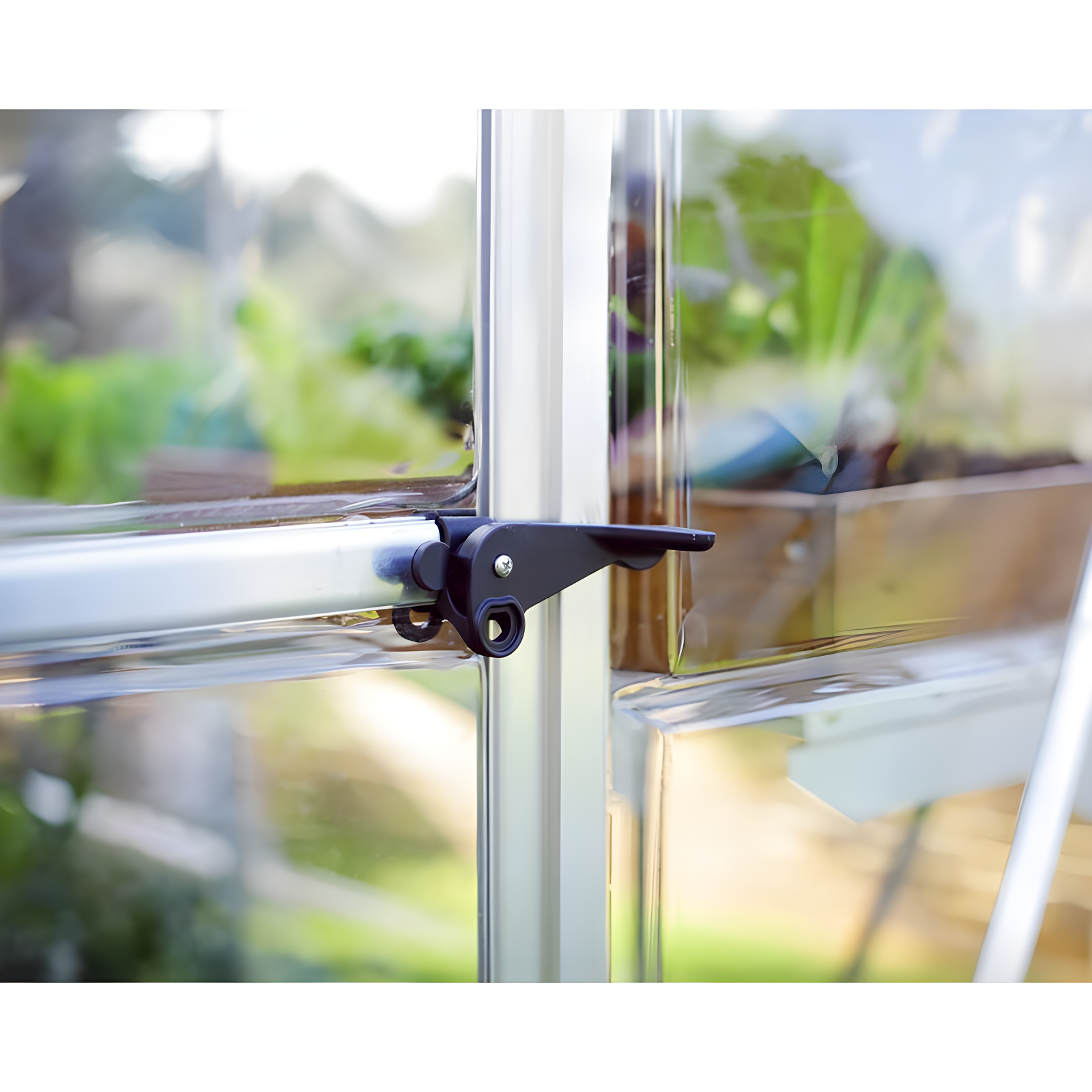 Canopia Palram - Canopia Hybrid Polycarbonate Hobby Greenhouse & Reviews | Wayfair