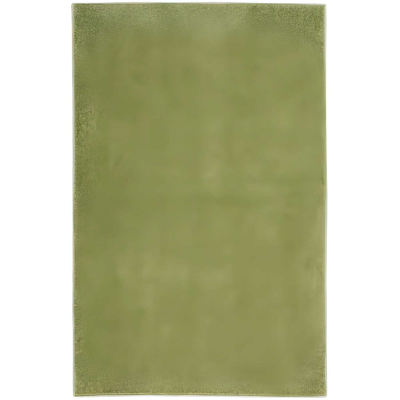 Nourison Nourison Essentials NRE01 Indoor/outdoor Area Rug - Green 2' x 4'