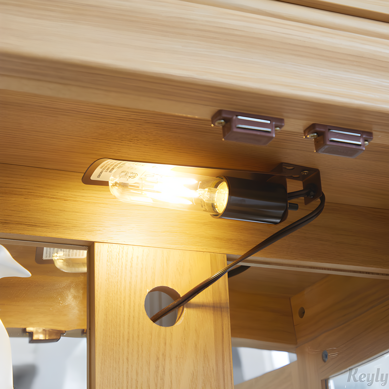 Lighted Glass Storage Display Cabinet