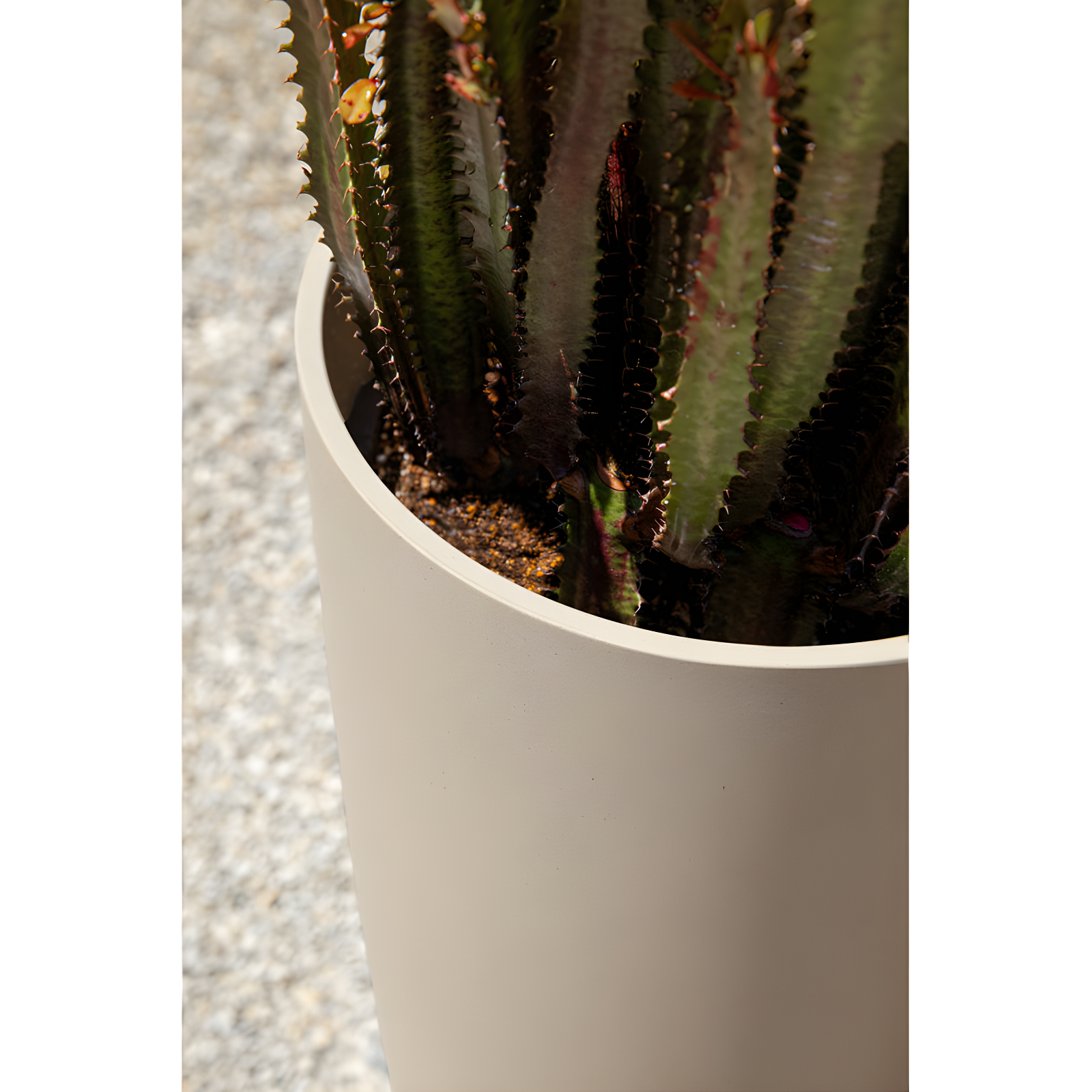 Mason Series Selena Planter