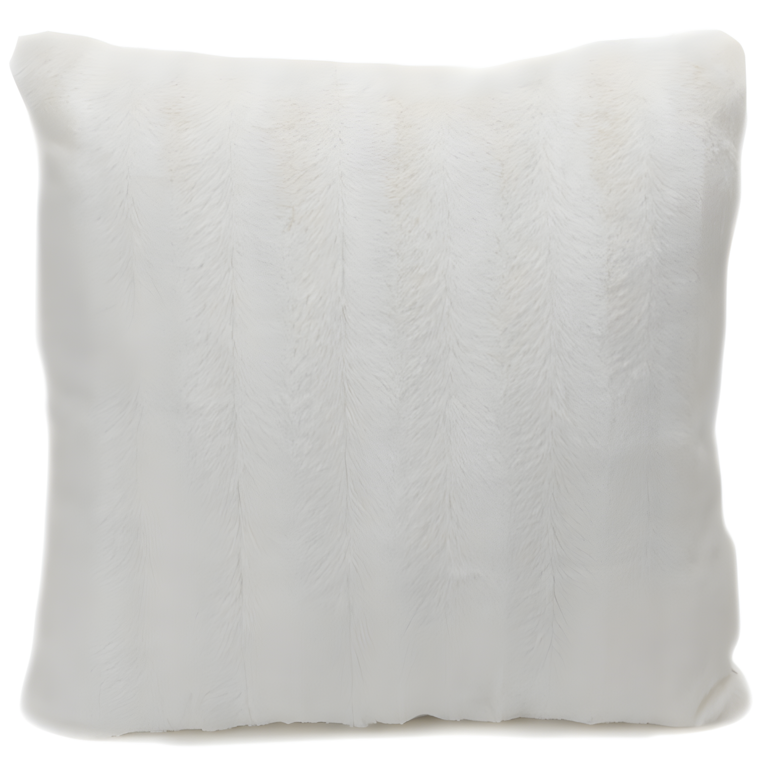 Cheer Collection FRBIN Square Pillow Cover & Insert (Set of 2)