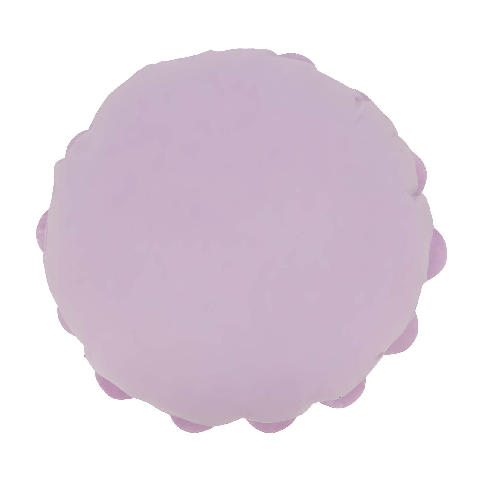 Flower Appliqued Felt Throw Pillow