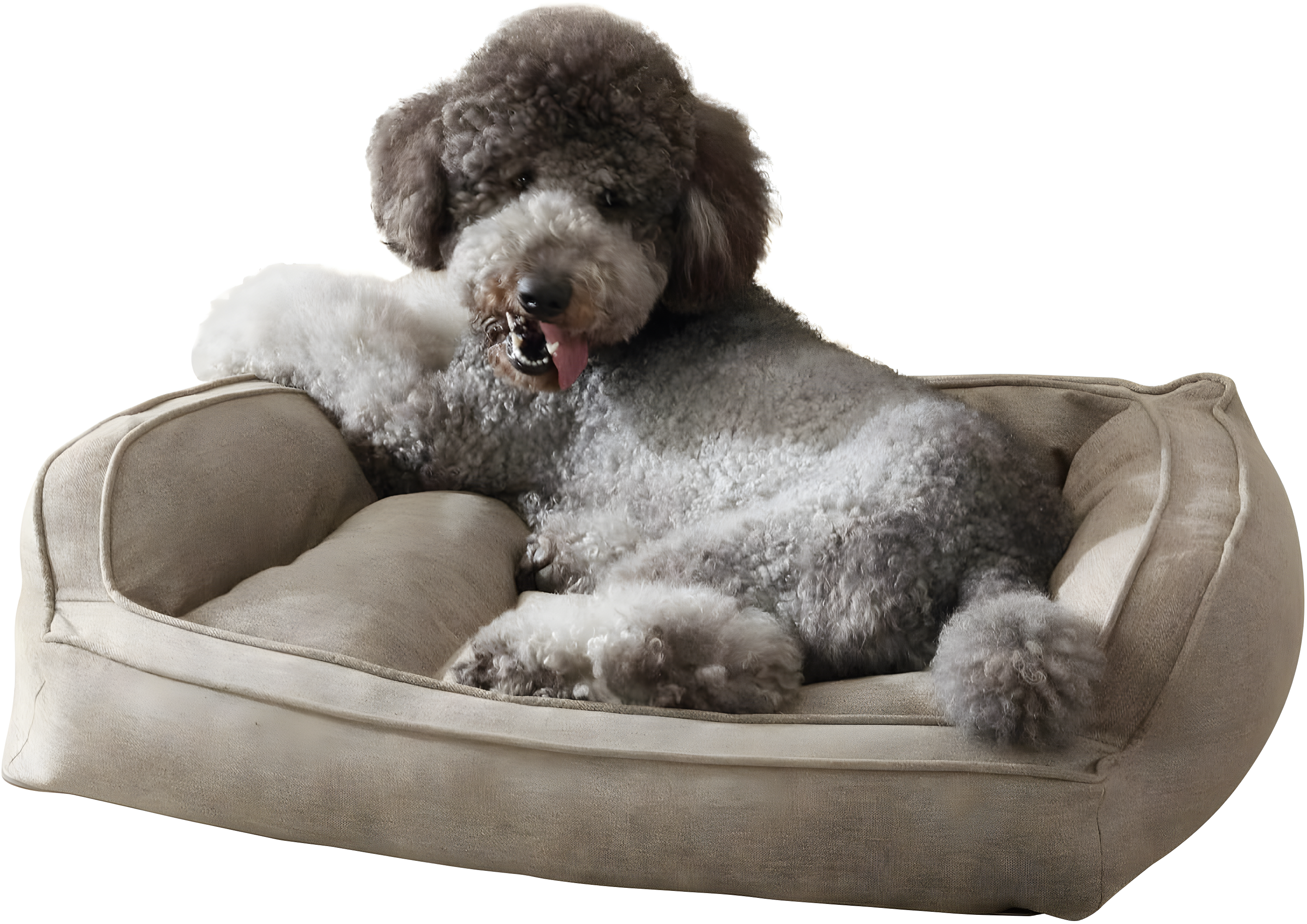 Tucker Murphy Pet™ Hartz Bolster Pet Bed