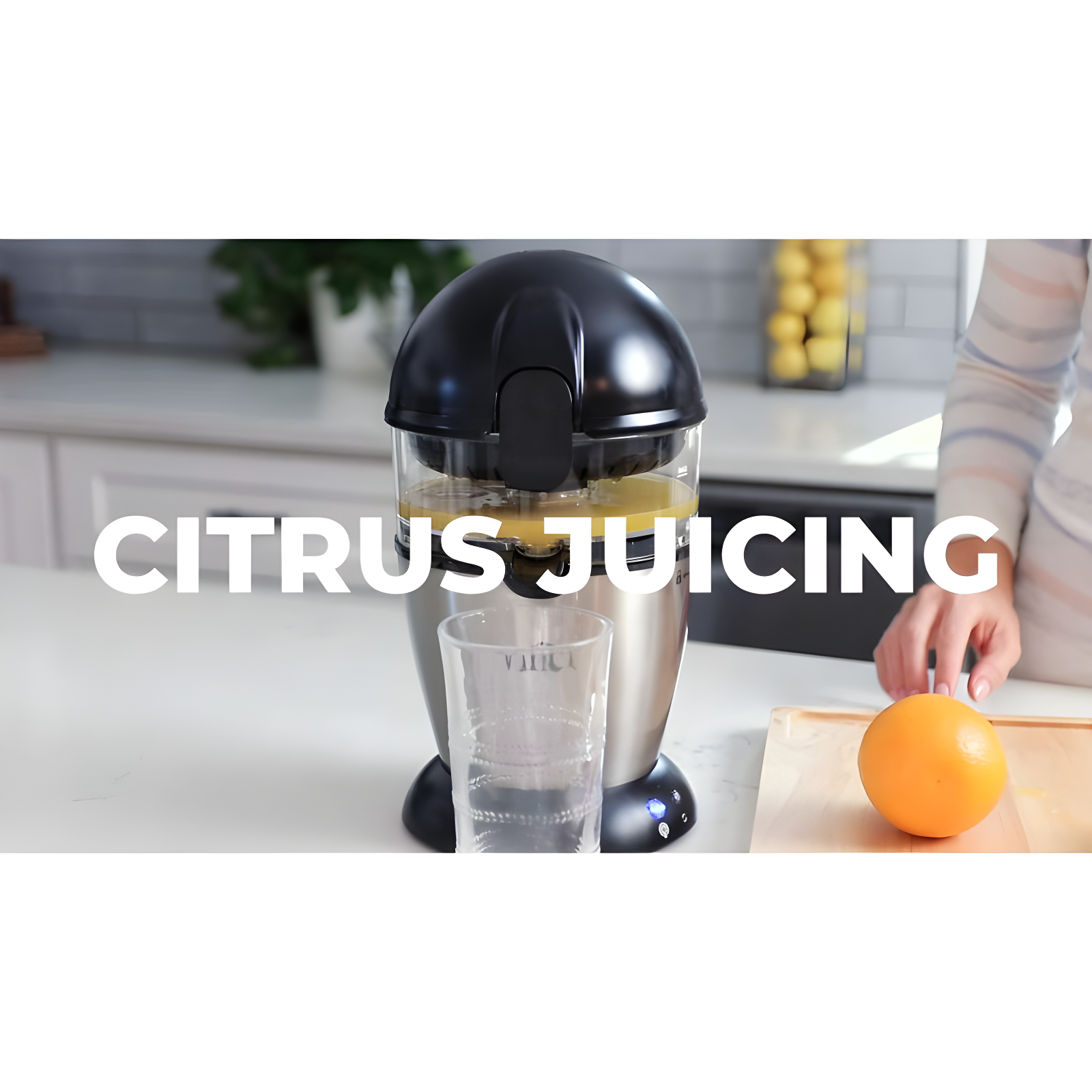 Vinci Vinci Electric Citrus Juicer