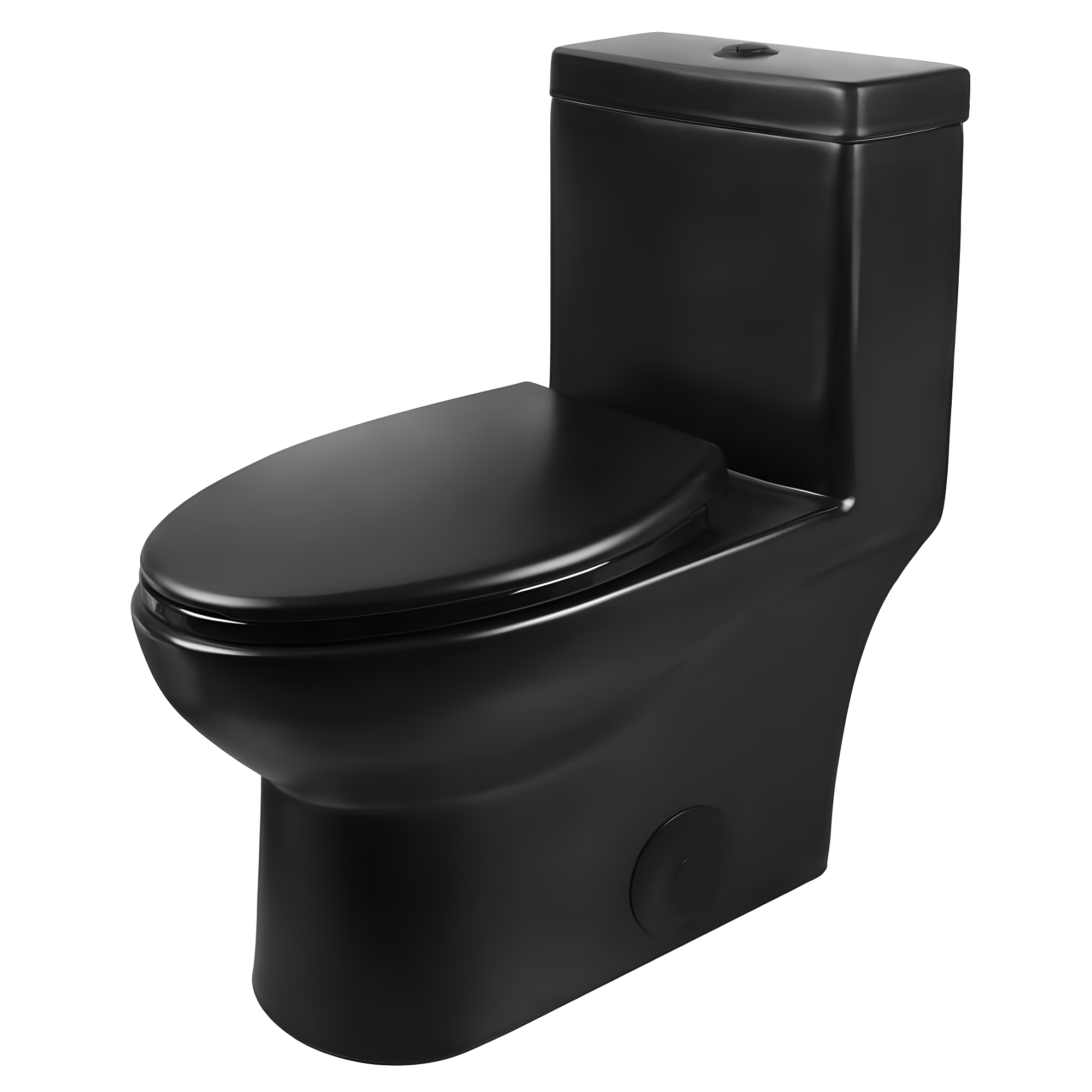 Ally Dual-Flush Elongated One-Piece Toilet with Glazed Surface Modern Toilet with Comfort Seat Height(Seat Included)