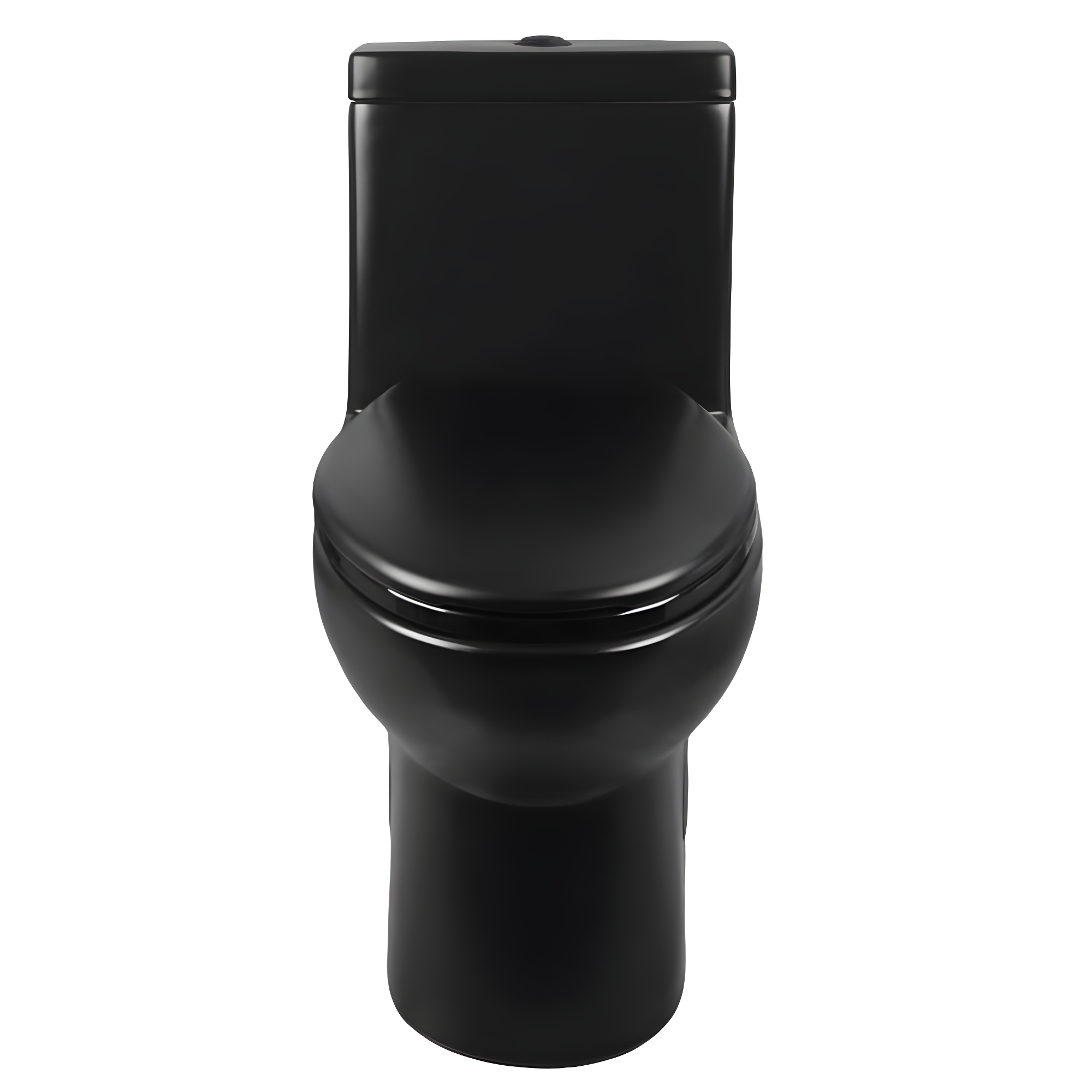 Ally Dual-Flush Elongated One-Piece Toilet with Glazed Surface Modern Toilet with Comfort Seat Height(Seat Included)