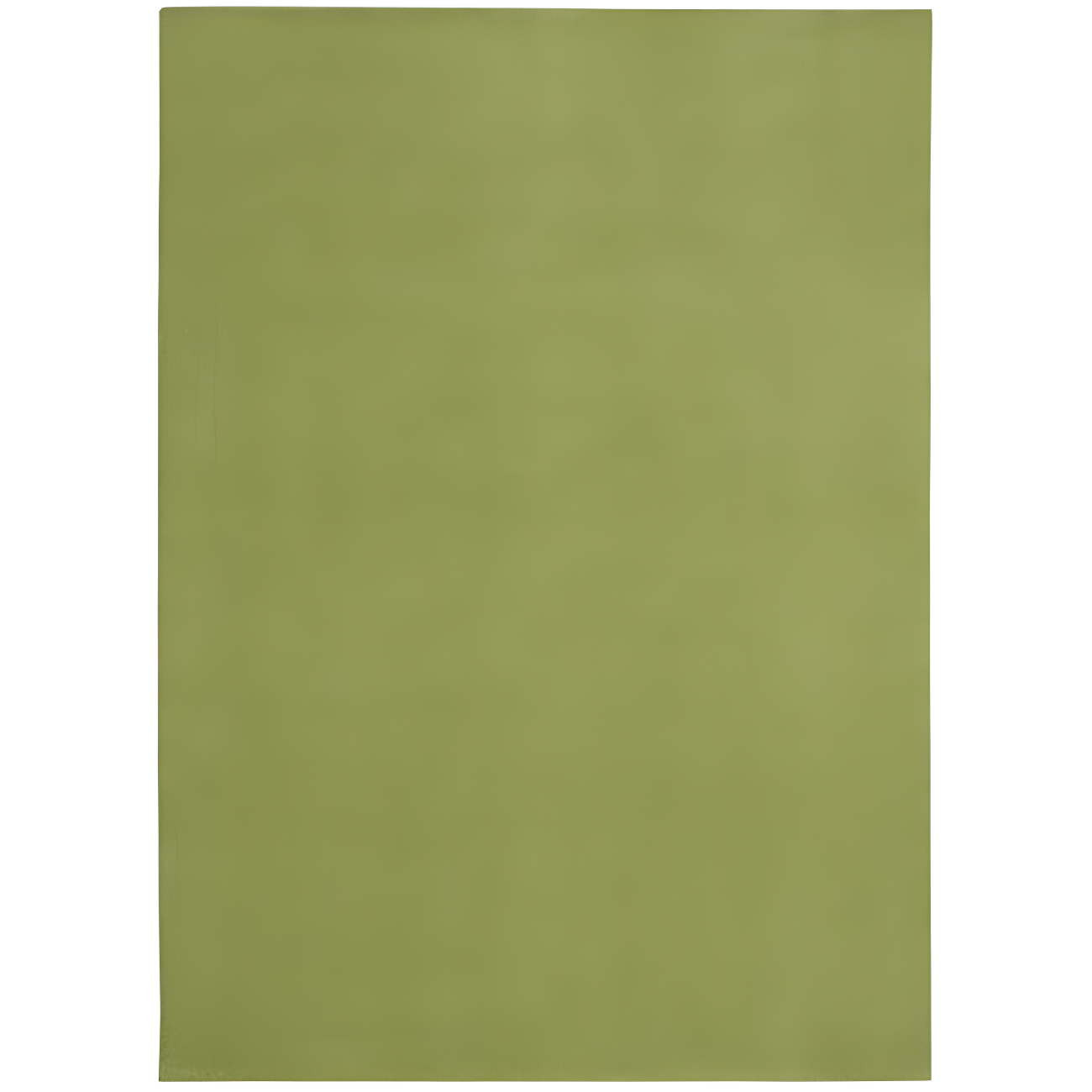 Nourison Nourison Essentials NRE01 Indoor/outdoor Area Rug - Green 6' x 9'