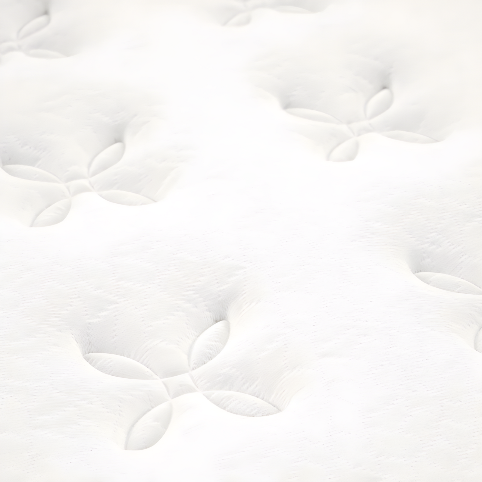 Modway Jenna 14-inch Euro Top Pocket Spring Mattress