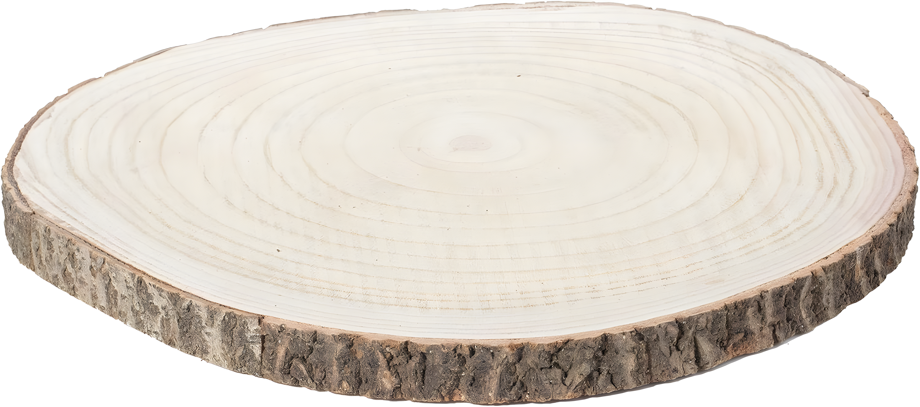 Vintiquewise Barky Natural Wood Slabs Rustic Ornament Slice Tray Table Charger - Approximately 18 Inch Dia