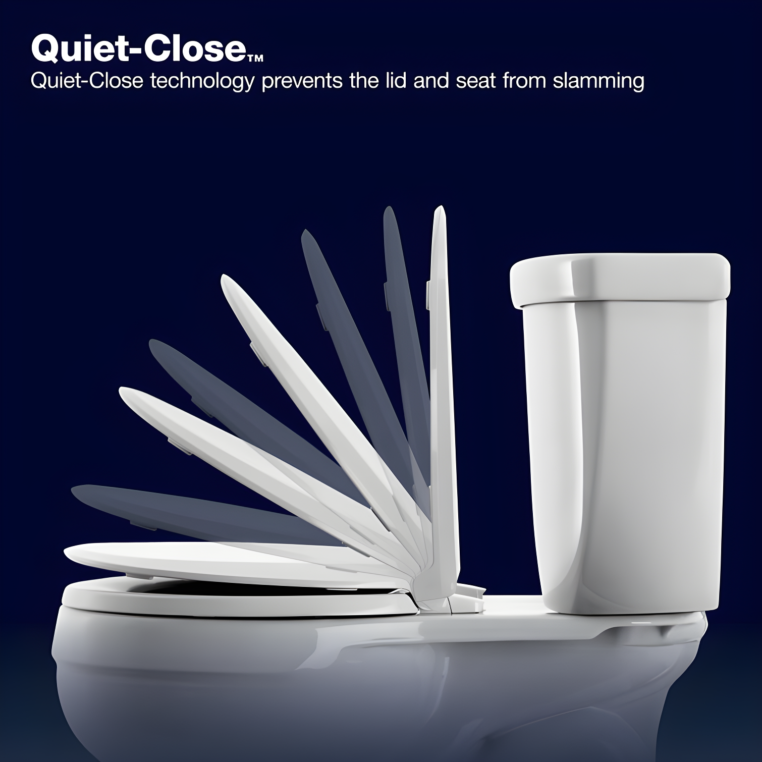 French Curve Elongated Toilet Seat