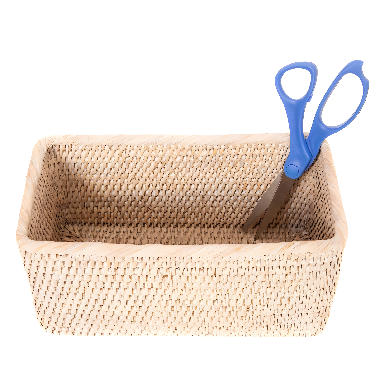 Rosecliff Heights Bavan Rattan Basket & Reviews | AllModern
