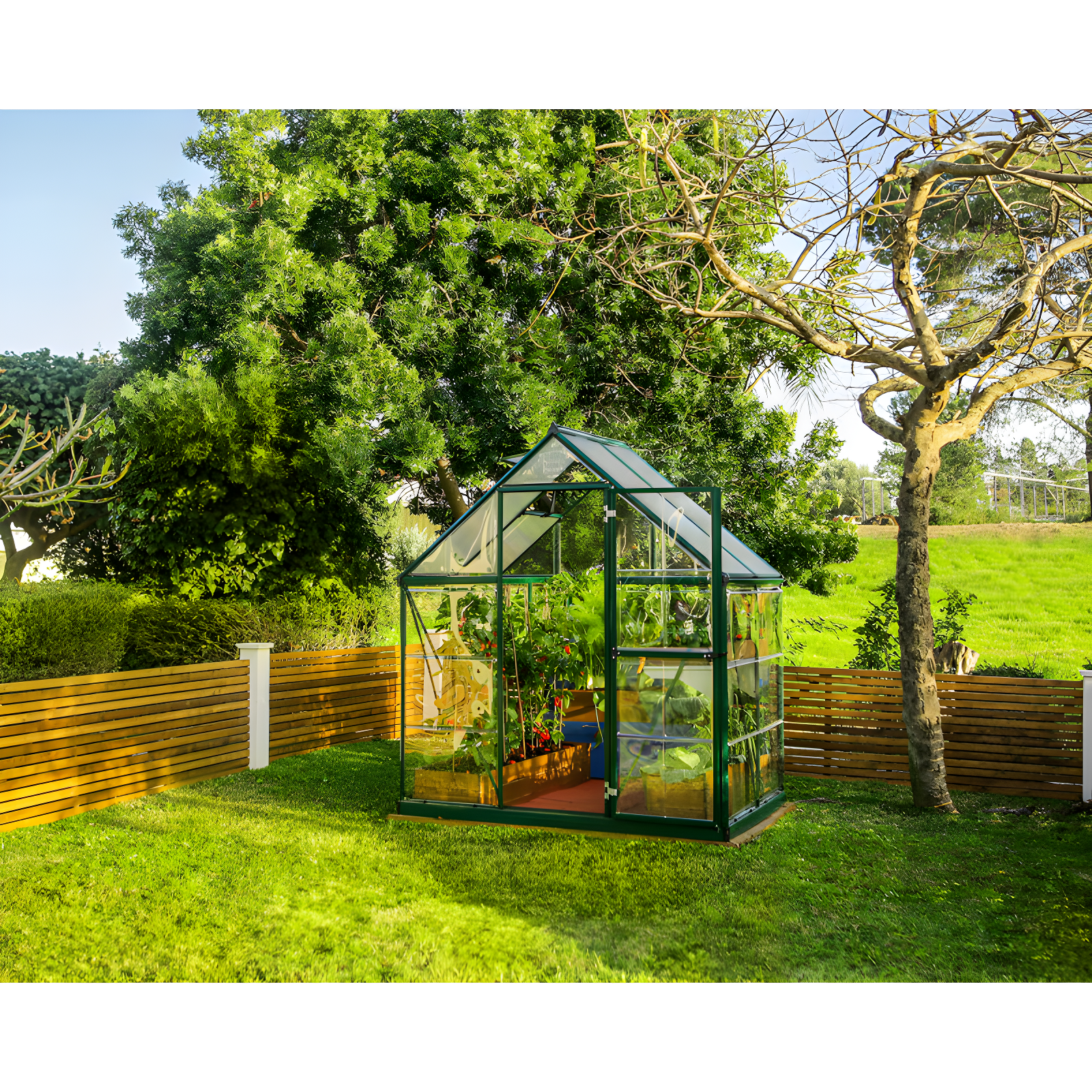 Canopia Palram - Canopia Hybrid Polycarbonate Hobby Greenhouse