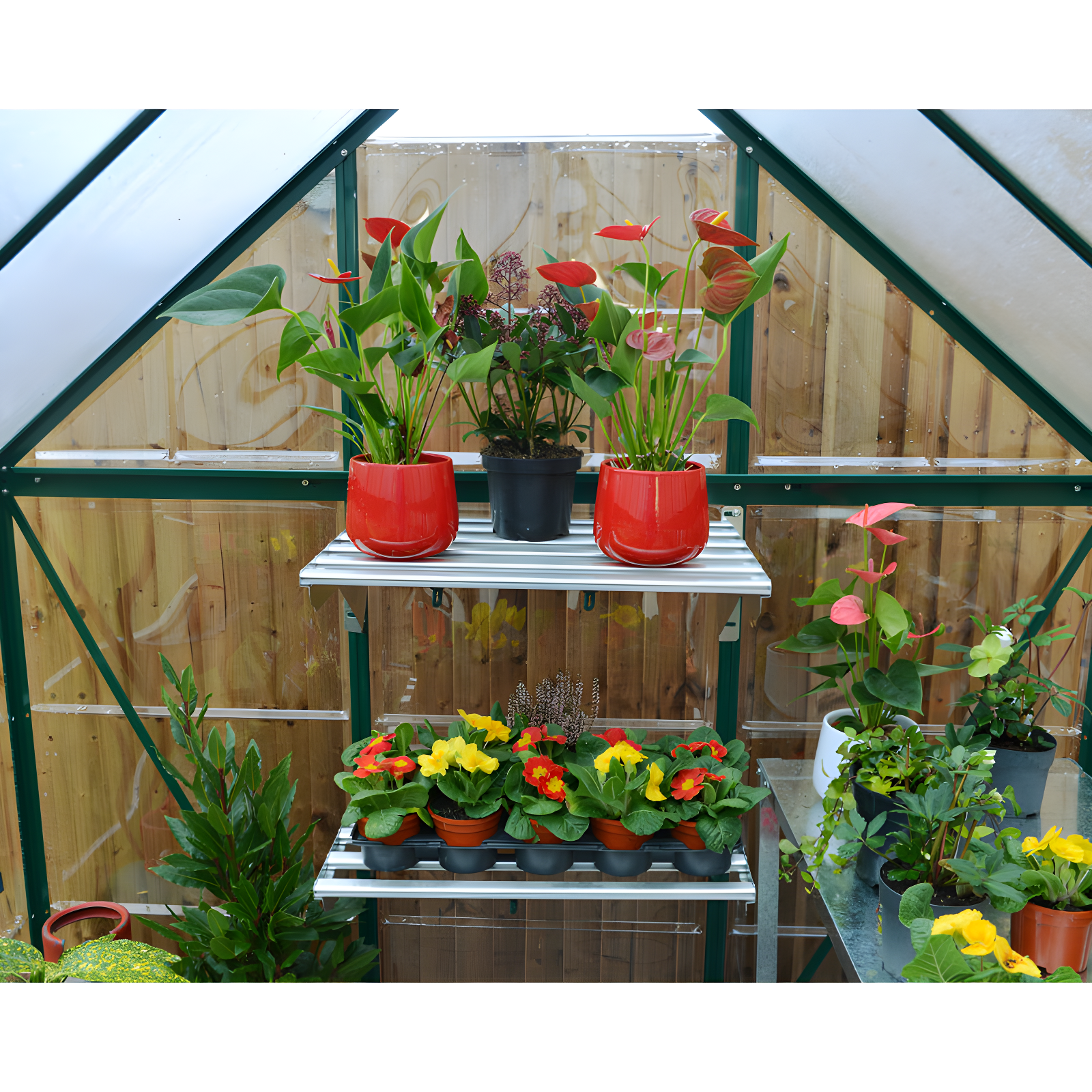 Canopia Palram - Canopia Hybrid Polycarbonate Hobby Greenhouse