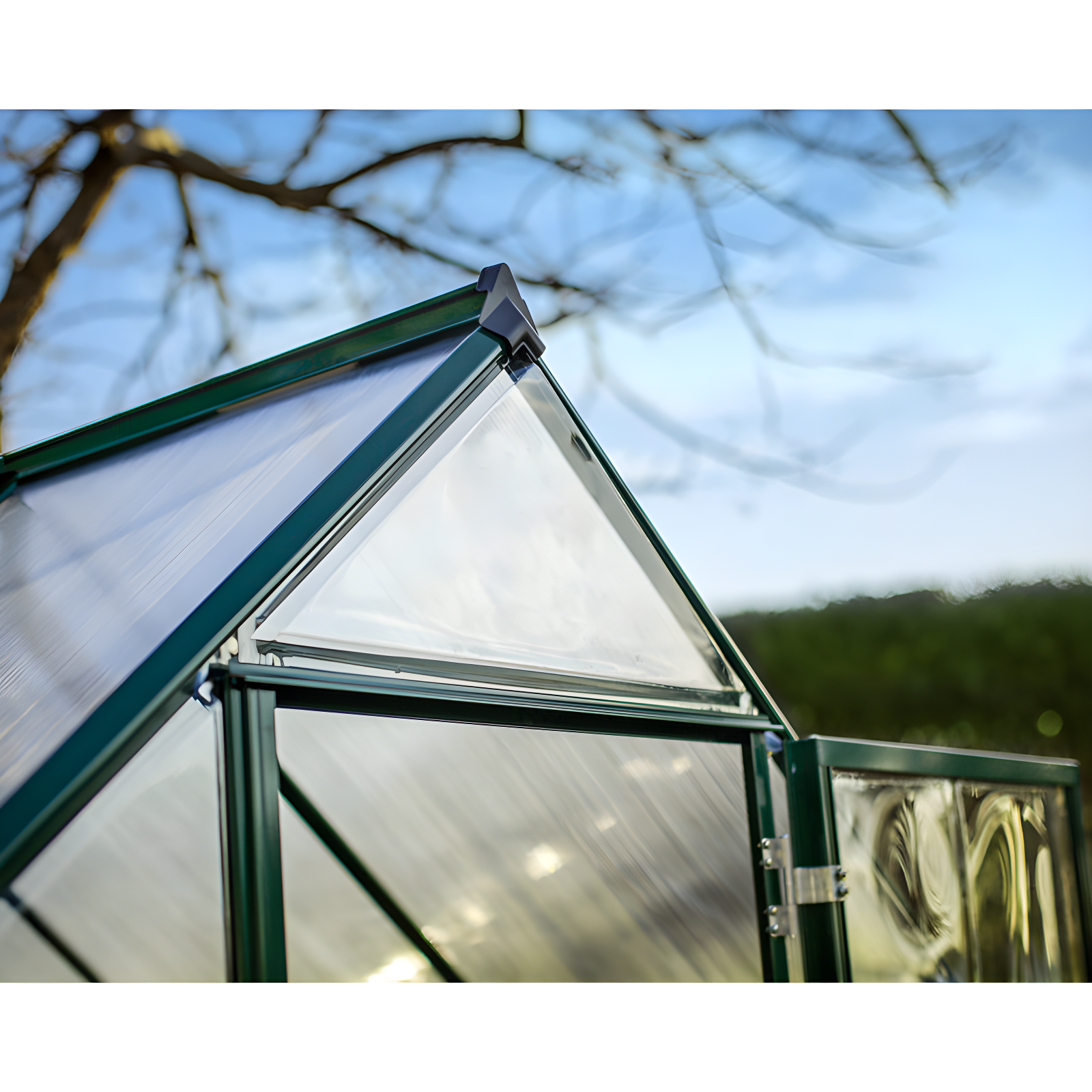 Canopia Palram - Canopia Hybrid Polycarbonate Hobby Greenhouse