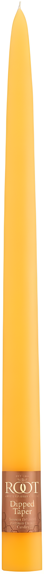 12 Piece Unscented Taper Candle Set