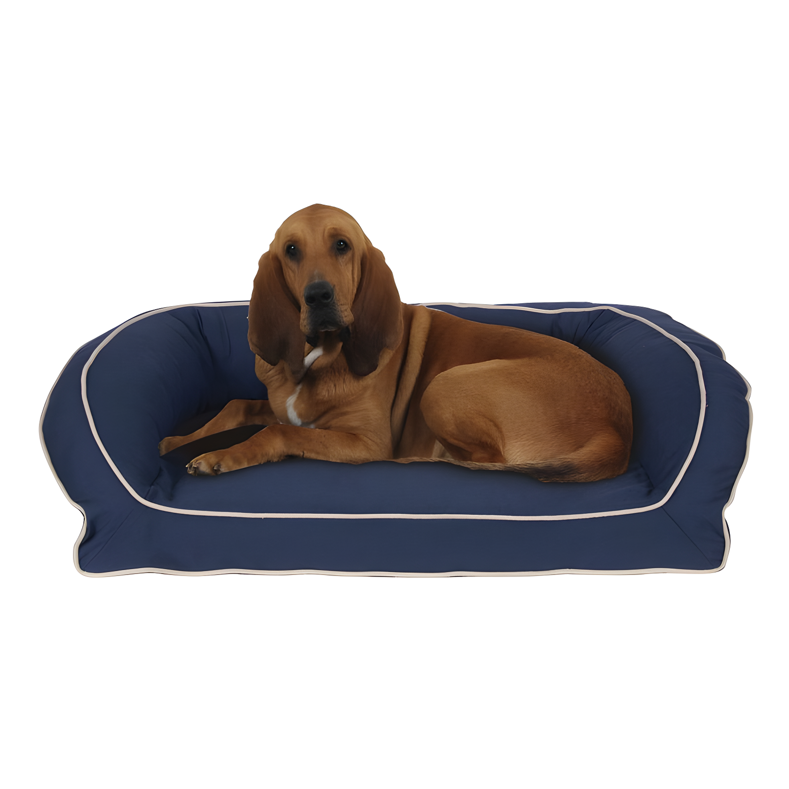 Carolina Pet Company Classic Twill Rectangular Pet Bed in Red with Khaki Cording