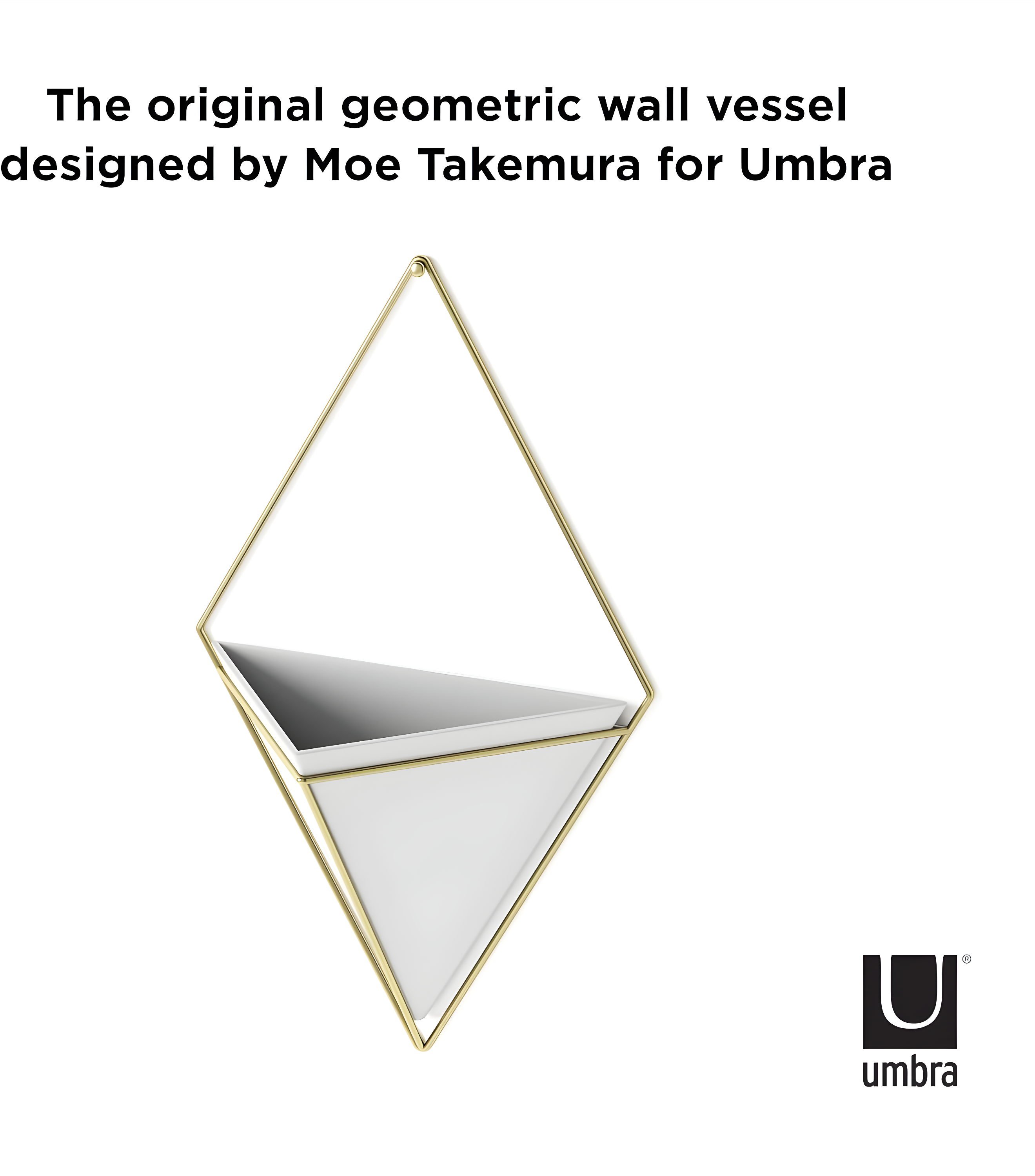 Umbra Trigg Planter Wall Decor & Reviews | Wayfair