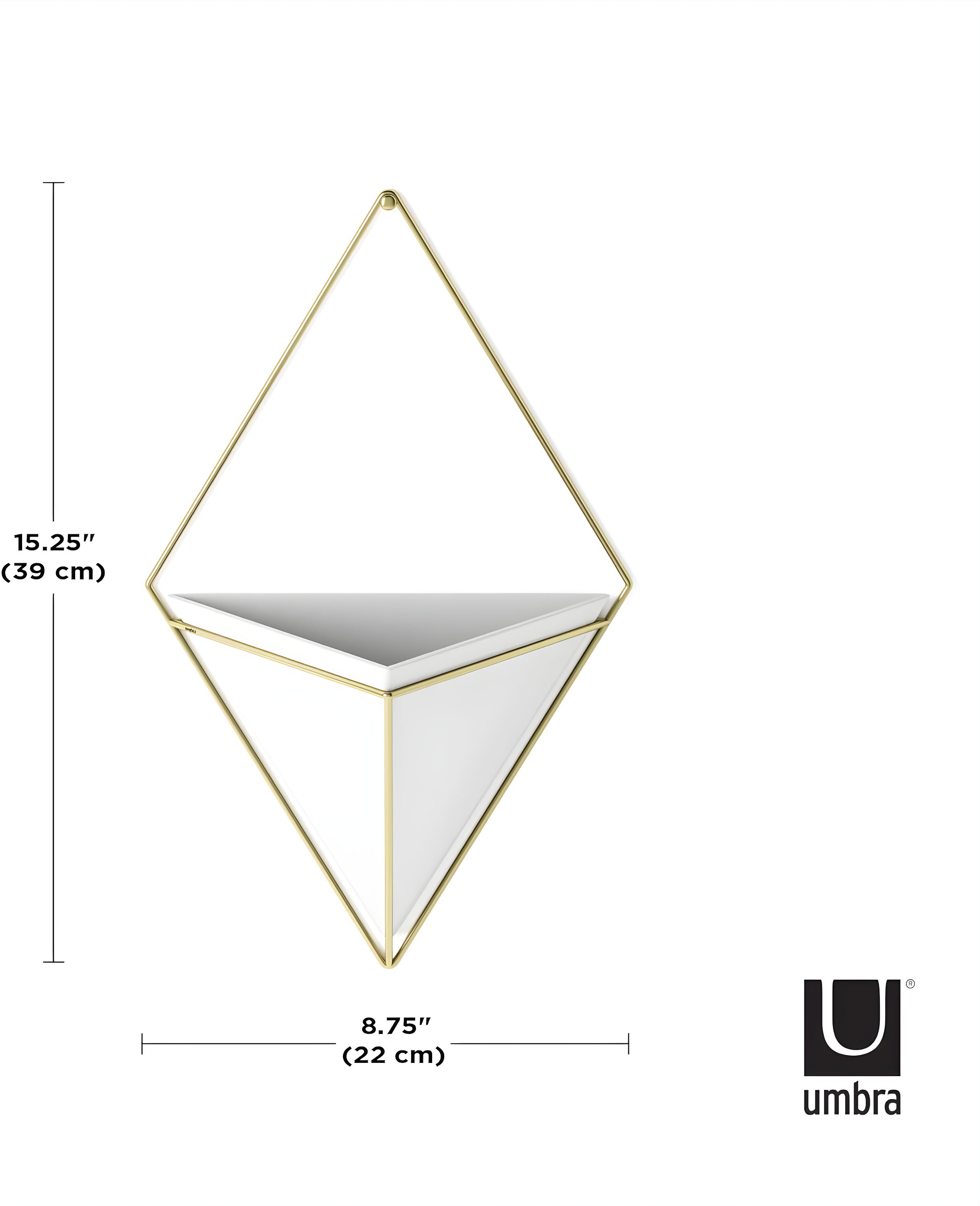 Umbra Trigg Planter Wall Decor & Reviews | Wayfair