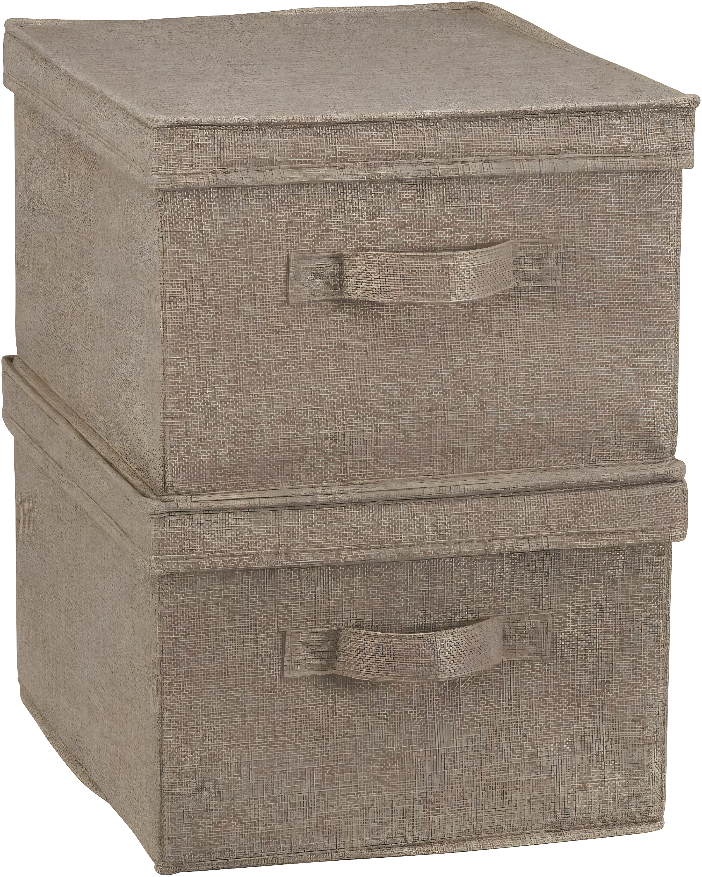 Household Essentials Household Essentials Fabric Bin (Set of 2)