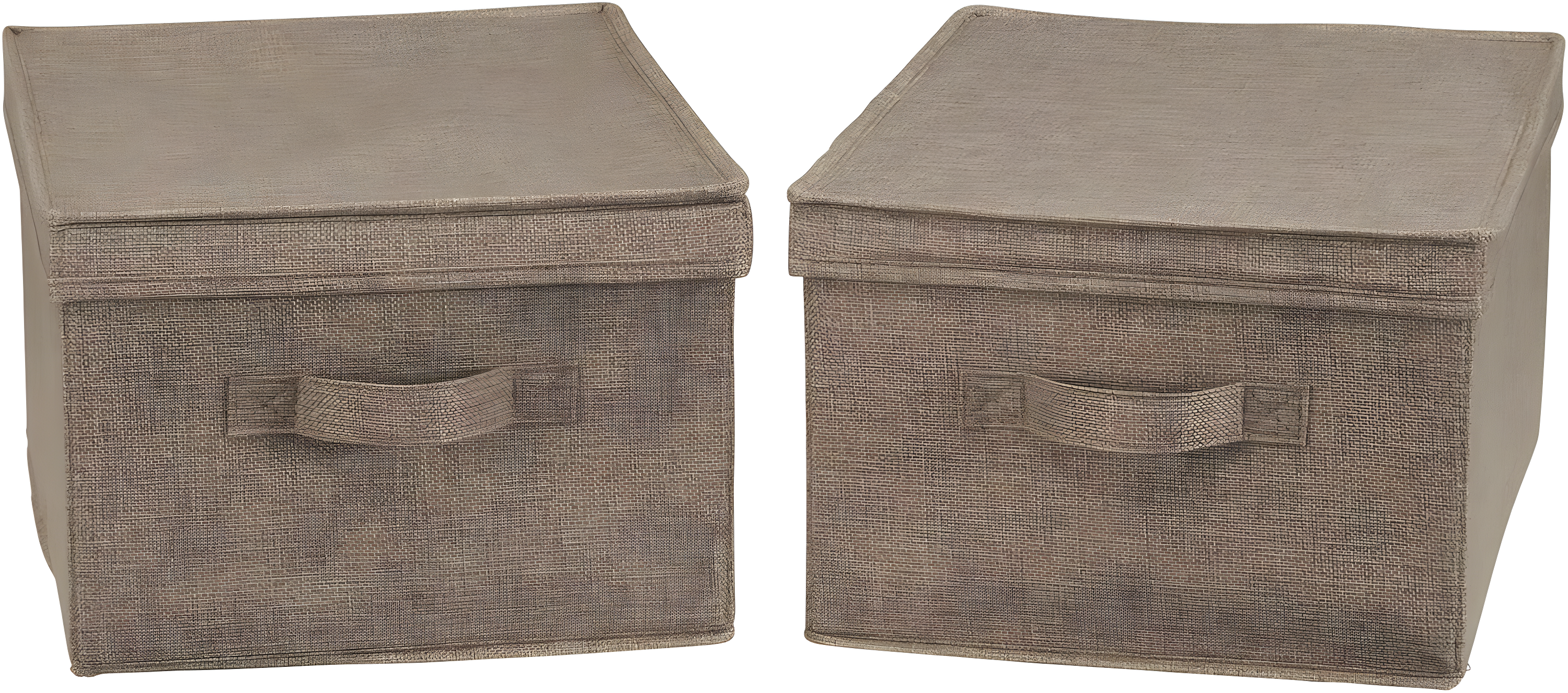 Household Essentials Household Essentials Fabric Bin (Set of 2)