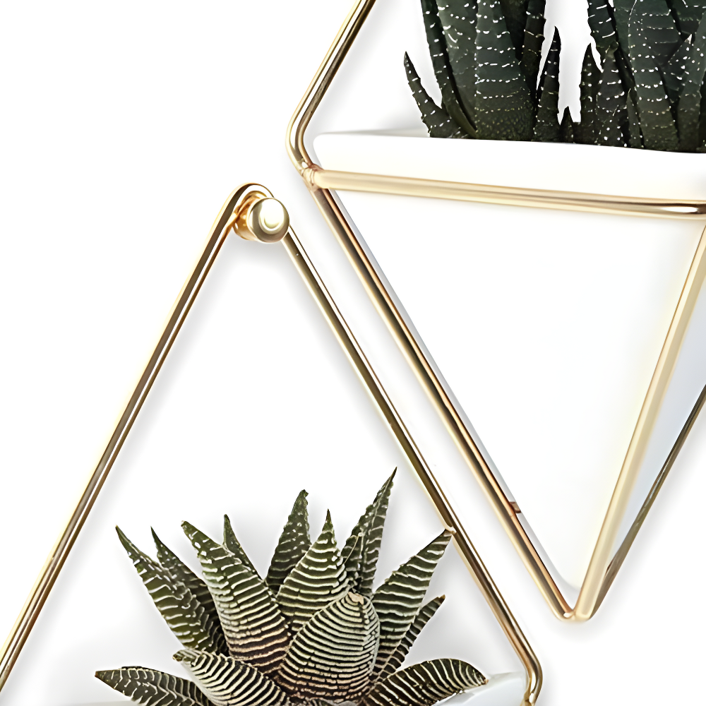 Trigg Wall Décor