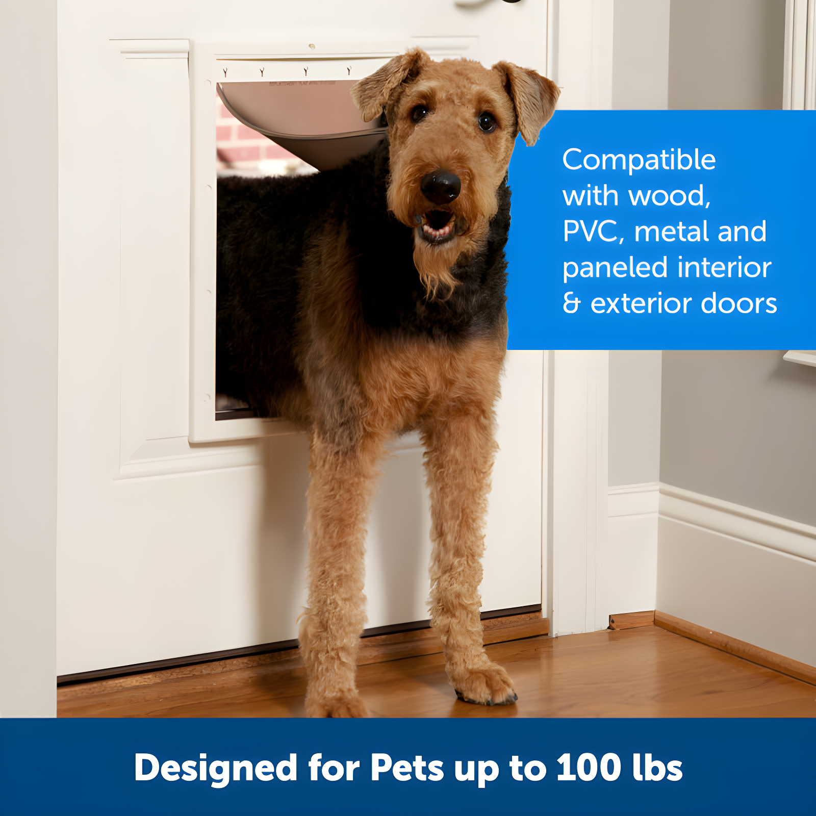 PetSafe® Plastic Pet Door X-Large