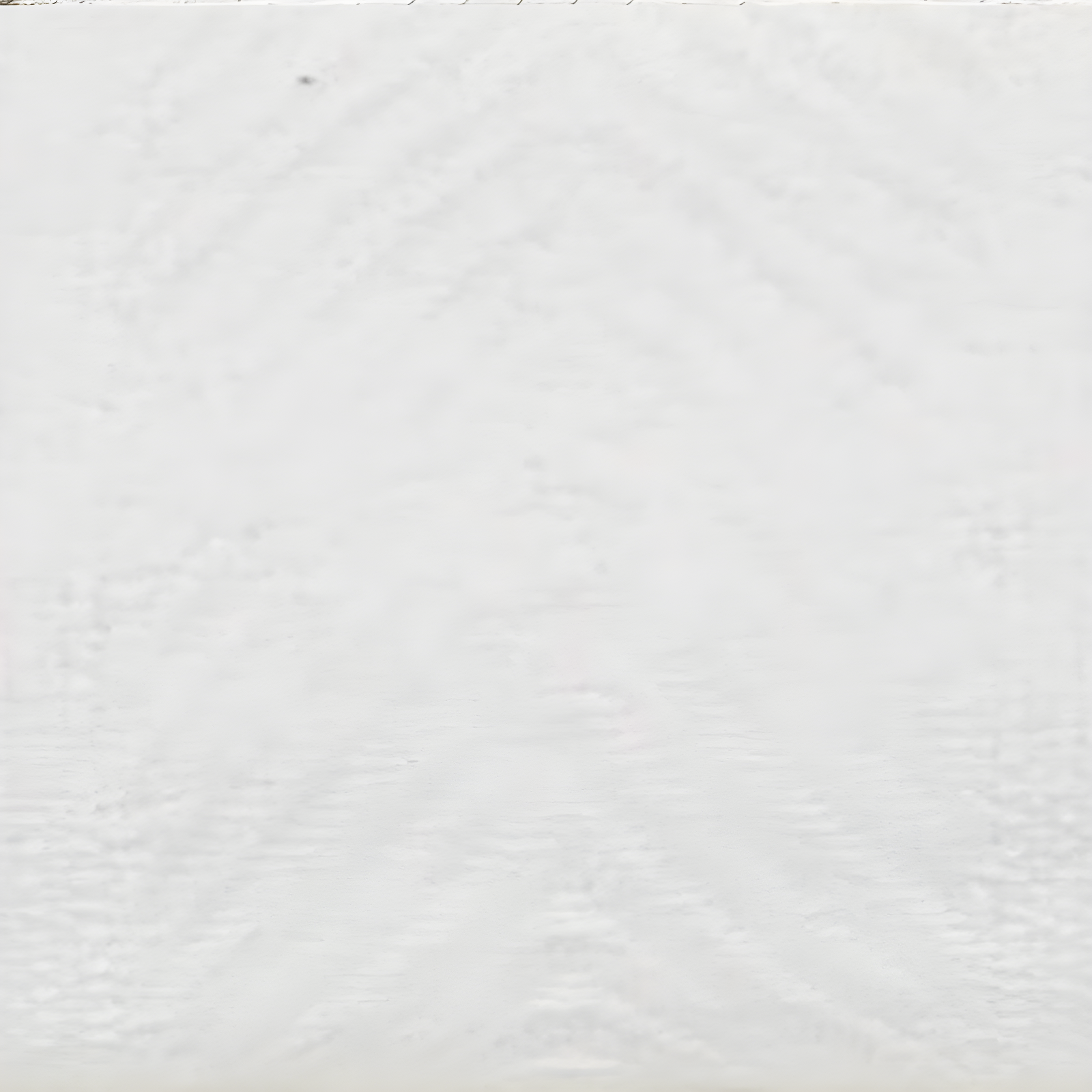 Eddie Bauer Herringbone Cotton Reversible Blanket