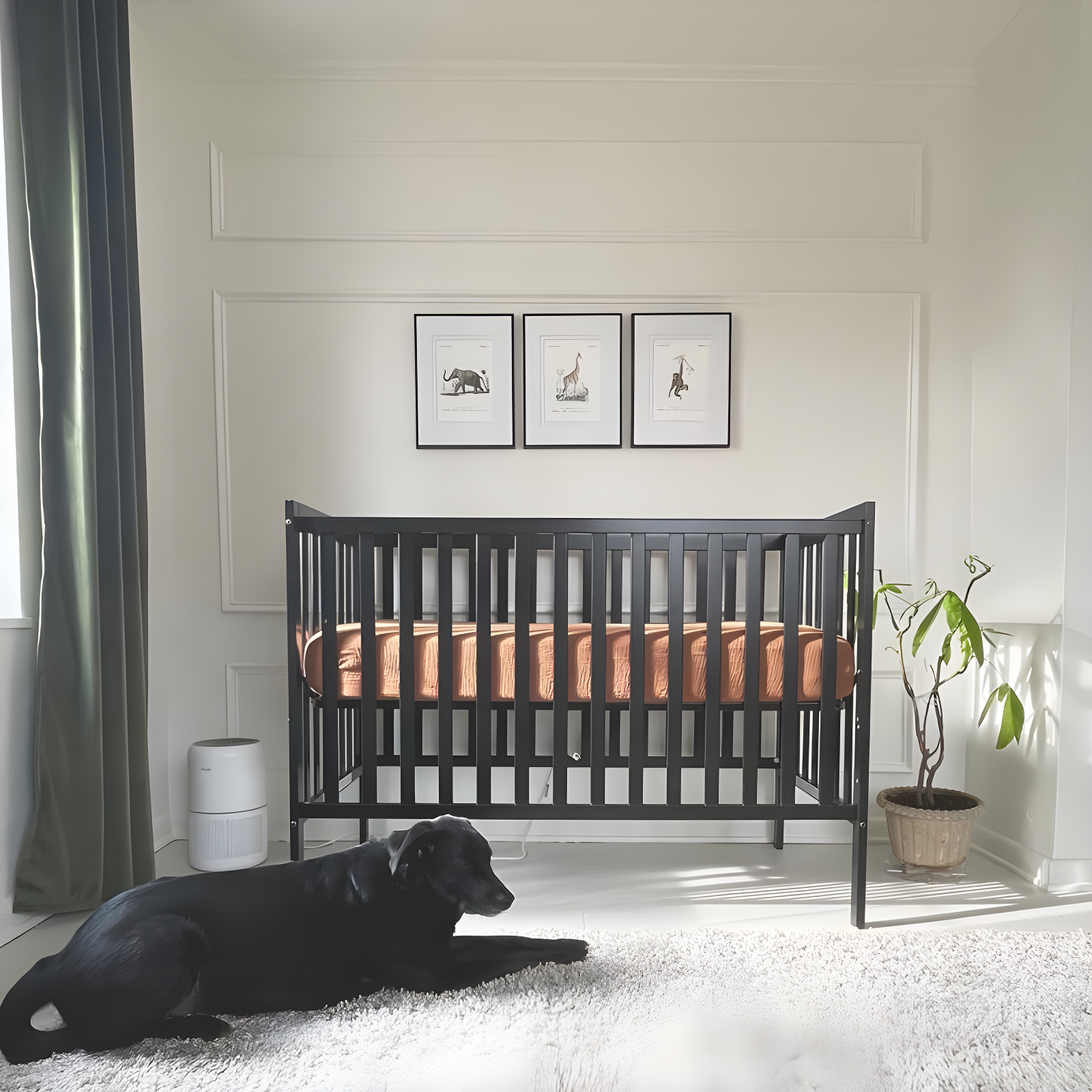 Dream On Me Synergy Convertible Crib