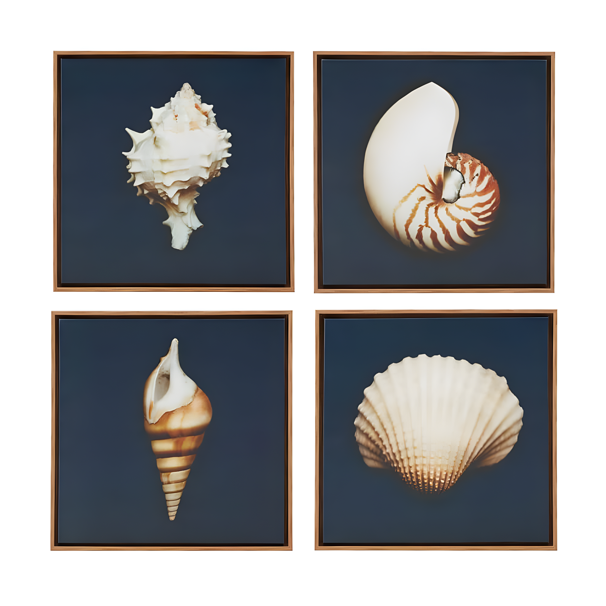 Highland Dunes " Ocean Seashells " by Julie Greenwood 4 - Pieces