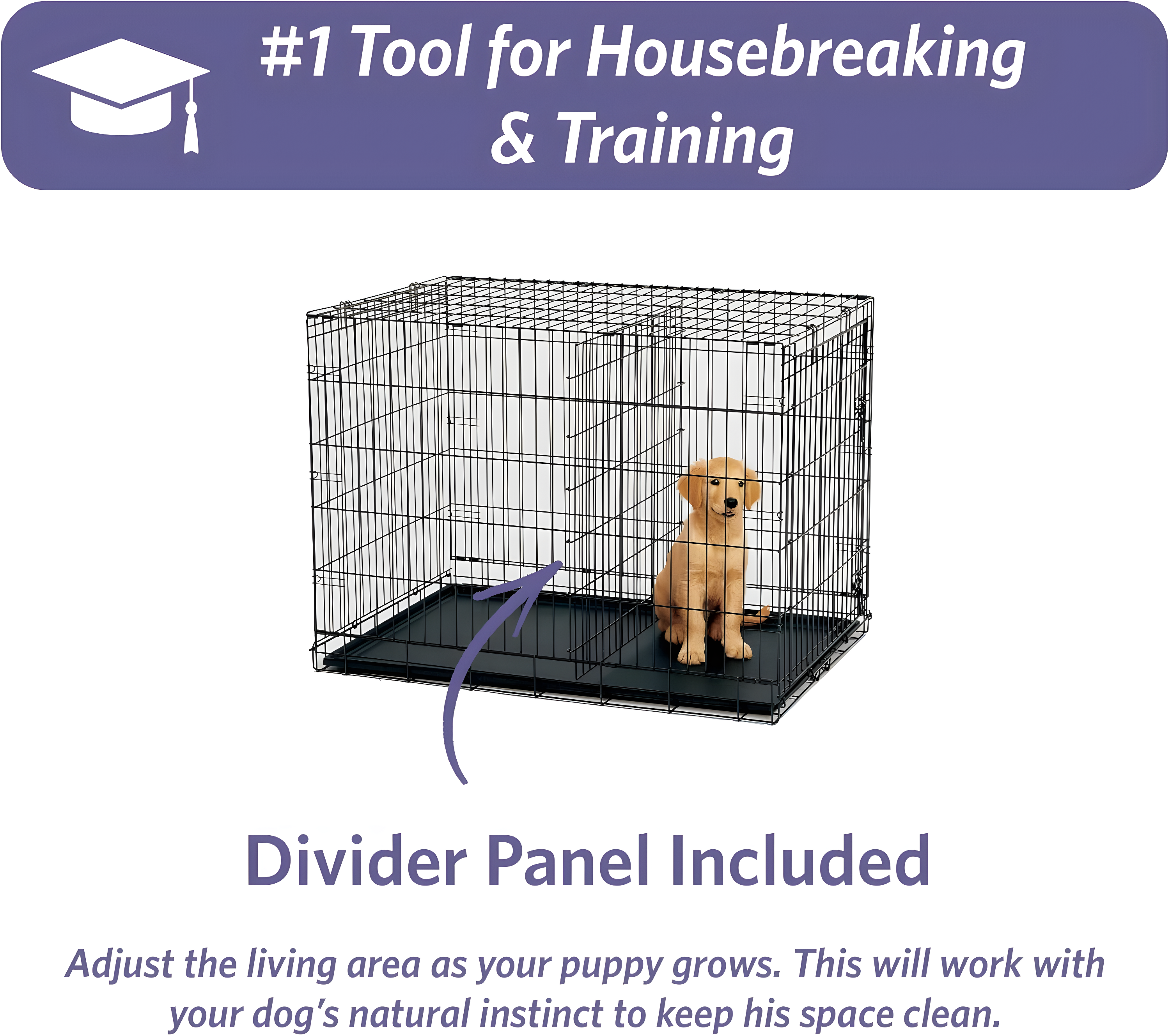 Midwest Homes For Pets MidWest Homes for Pets Newly Enhanced Single Door iCrate Dog Crate Includes Divider Panel