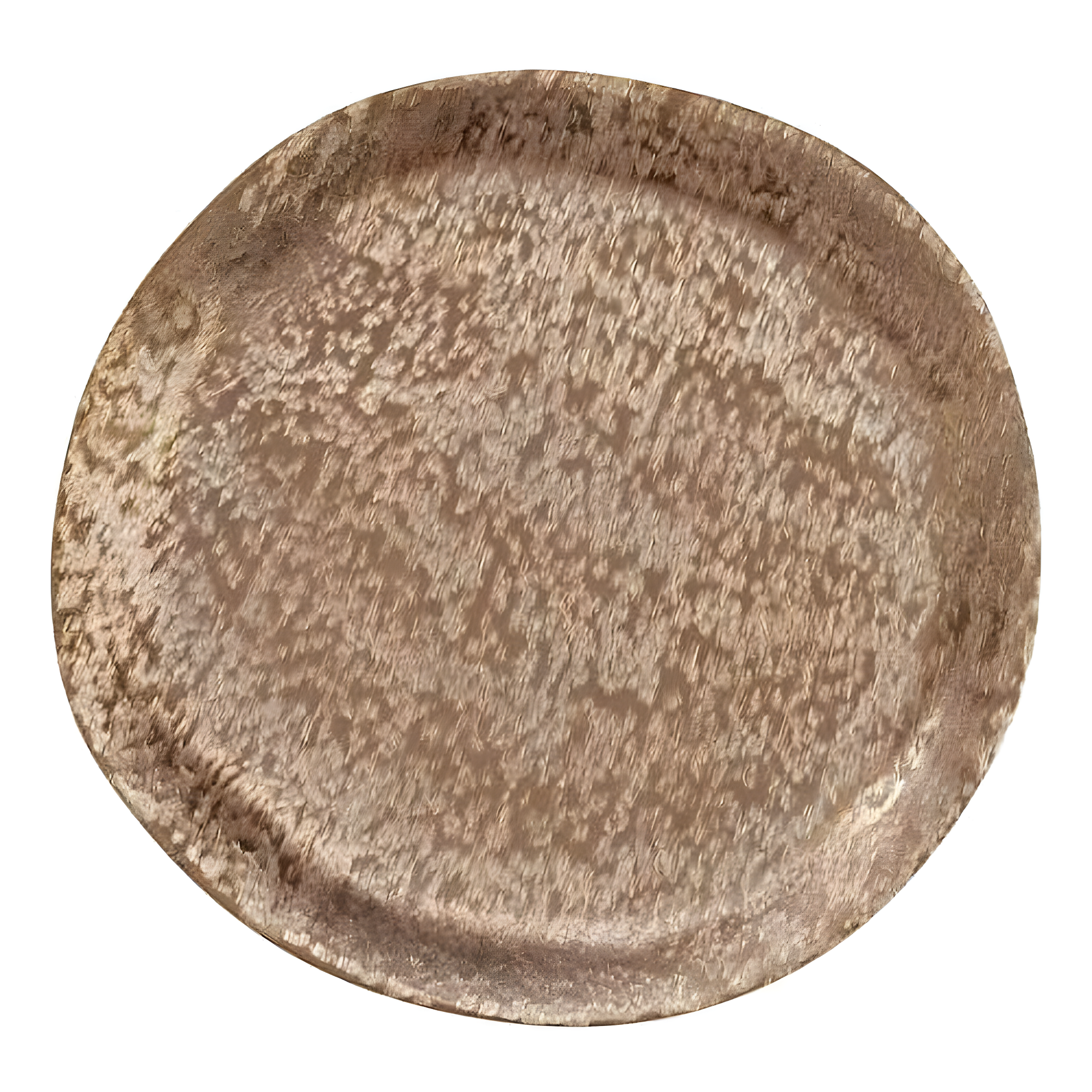 Zadia Brushed Metal Charger Plate (Set of 4)