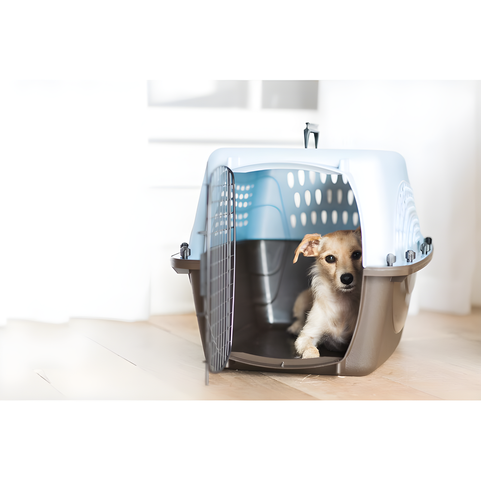 Petmate Plastic Pet Carrier with 1 Door