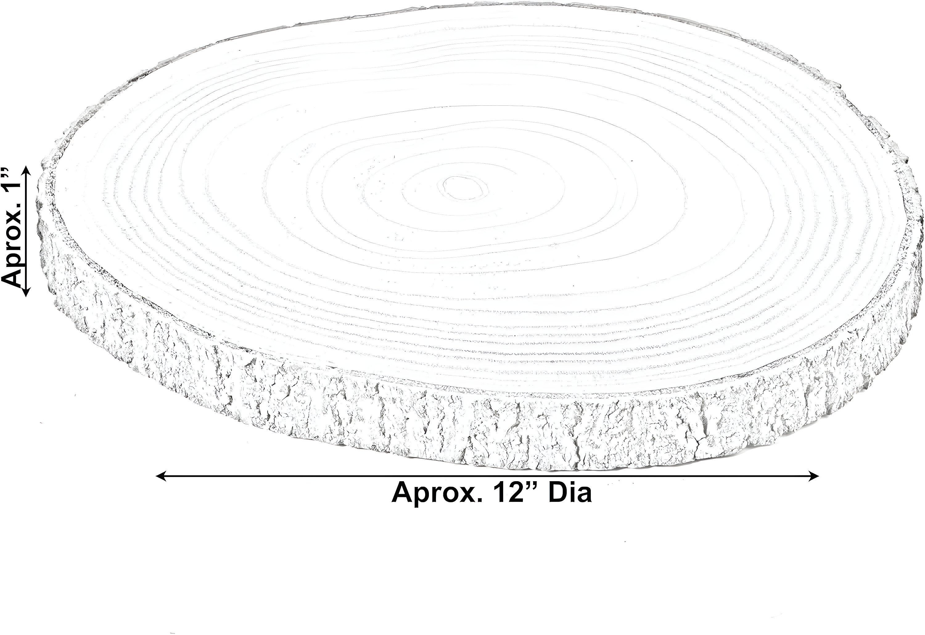 Vintiquewise Barky Natural Wood Slabs Rustic Ornament Slice Tray Table Charger -Approximately  12 Inch Dia