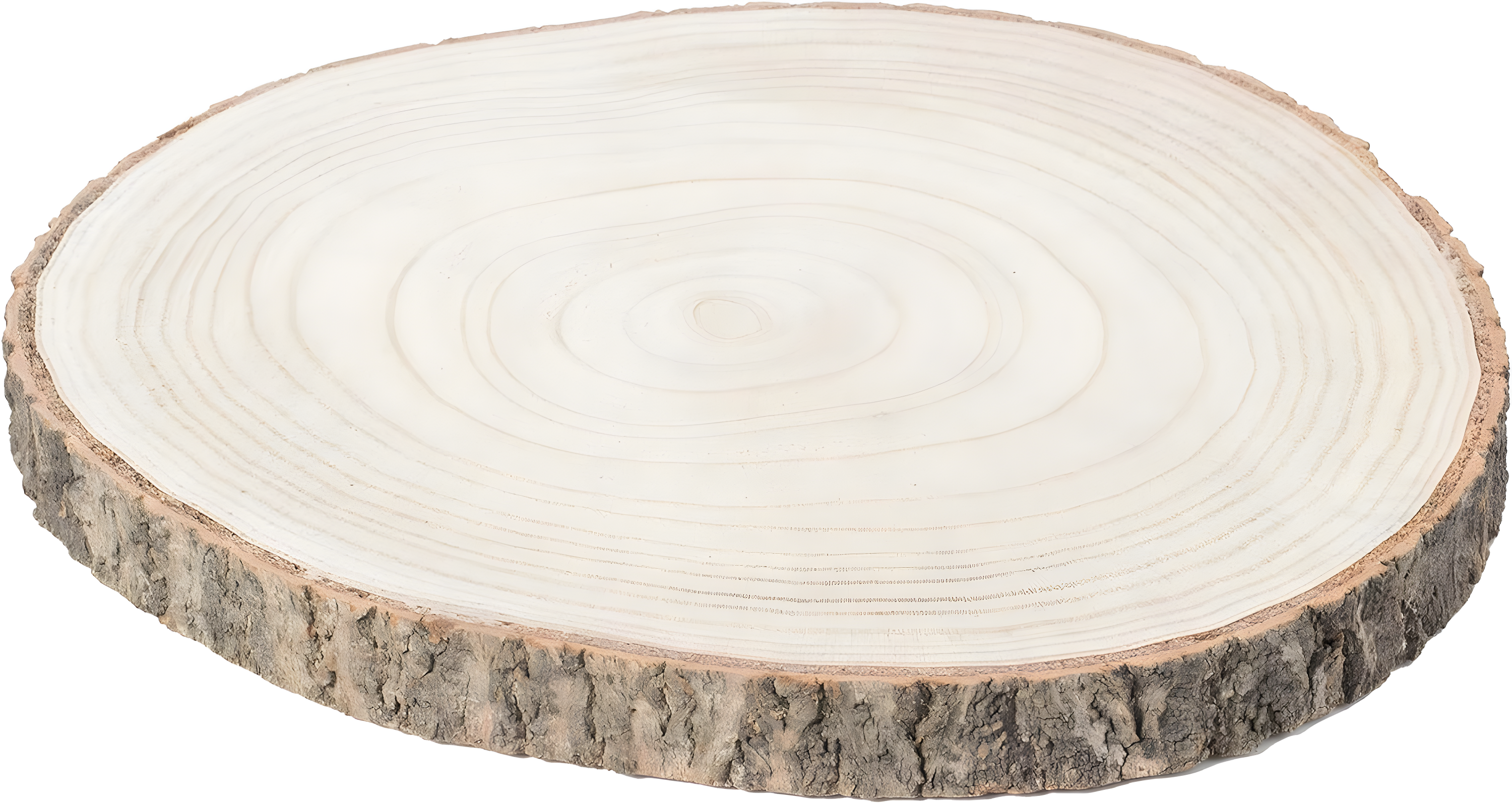 Vintiquewise Barky Natural Wood Slabs Rustic Ornament Slice Tray Table Charger -Approximately  12 Inch Dia