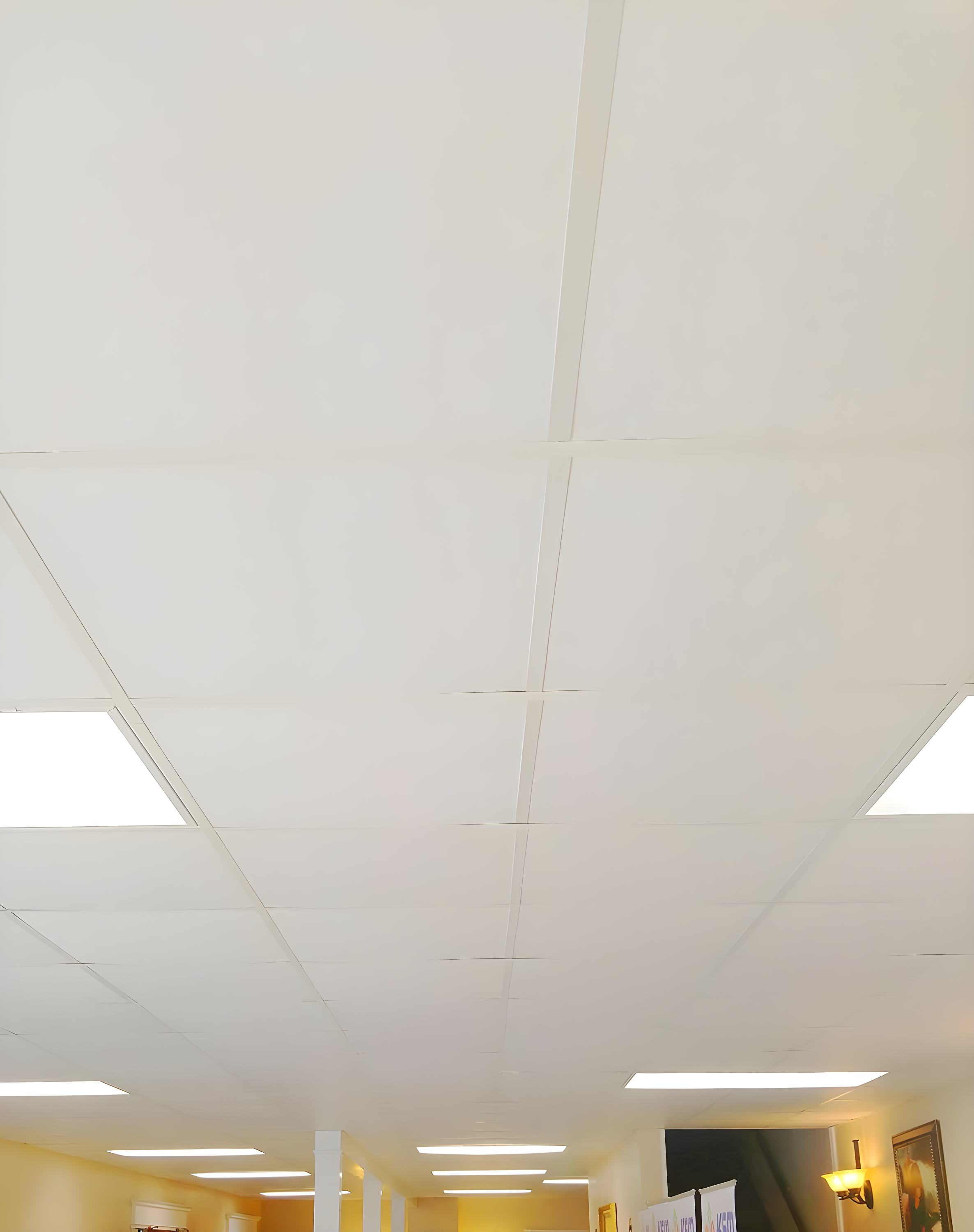 23.75'' L x 23.75'' W Smooth PVC Drop-In Ceiling Tile In White