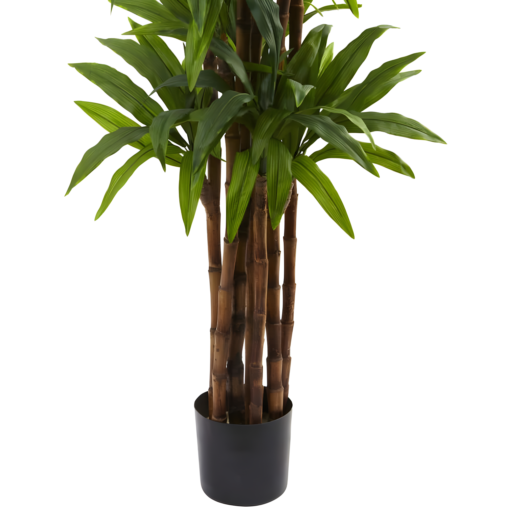 Nearly Natural 6.5-ft Dracaena Tree