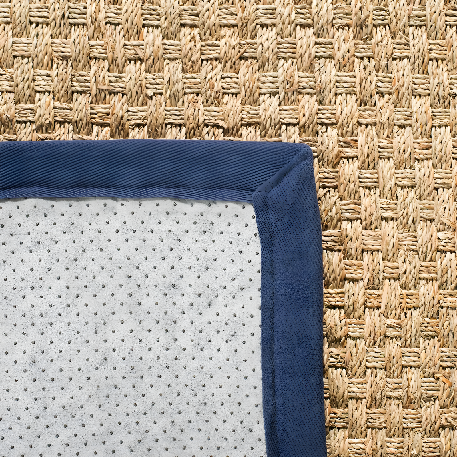 Natural Fiber NF114 Power Loomed Area Rug - Natural/Blue - 6'x9' - Safavieh.