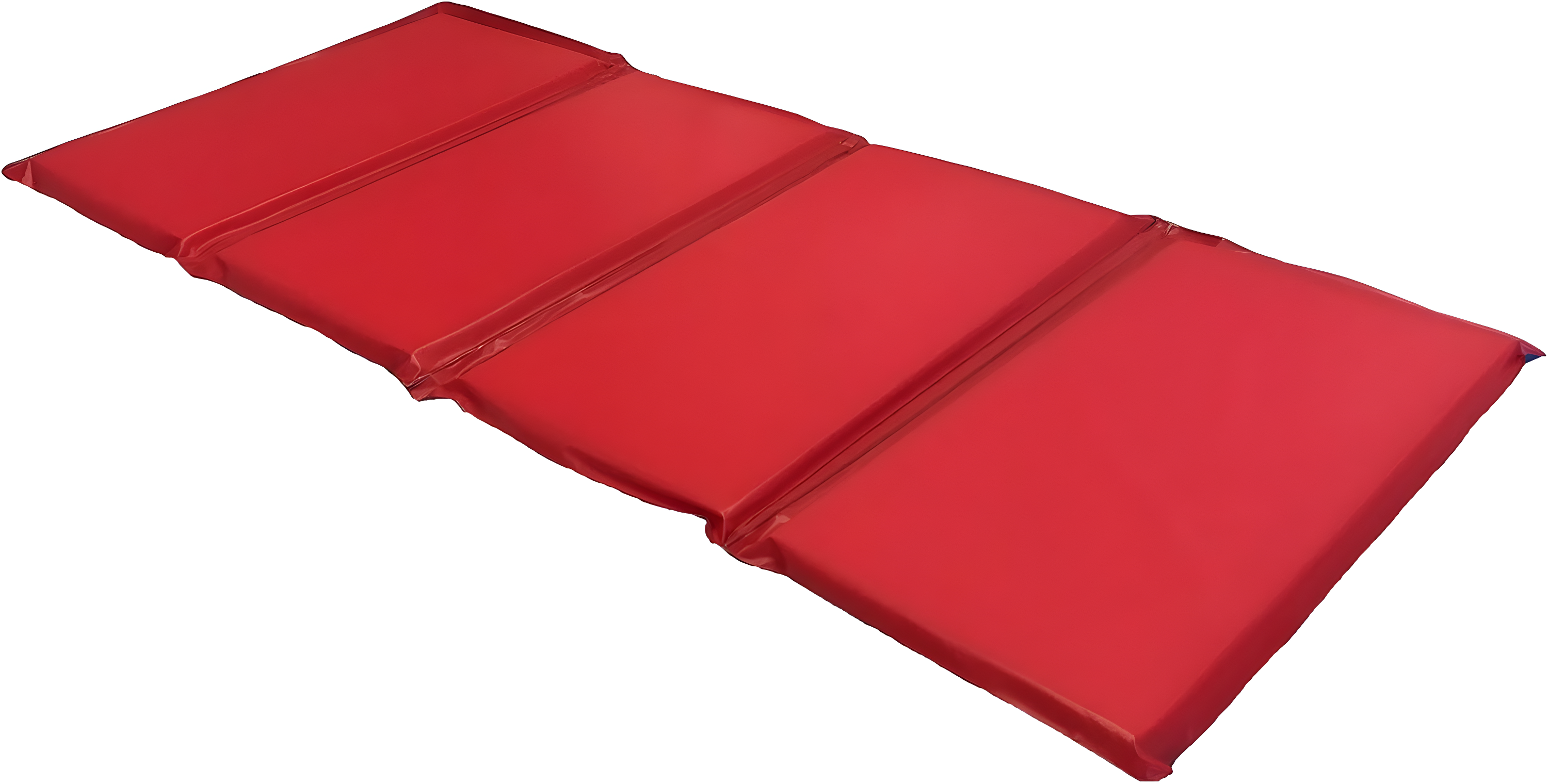 Acco Brands, Inc. 45'' L Foam Playmat