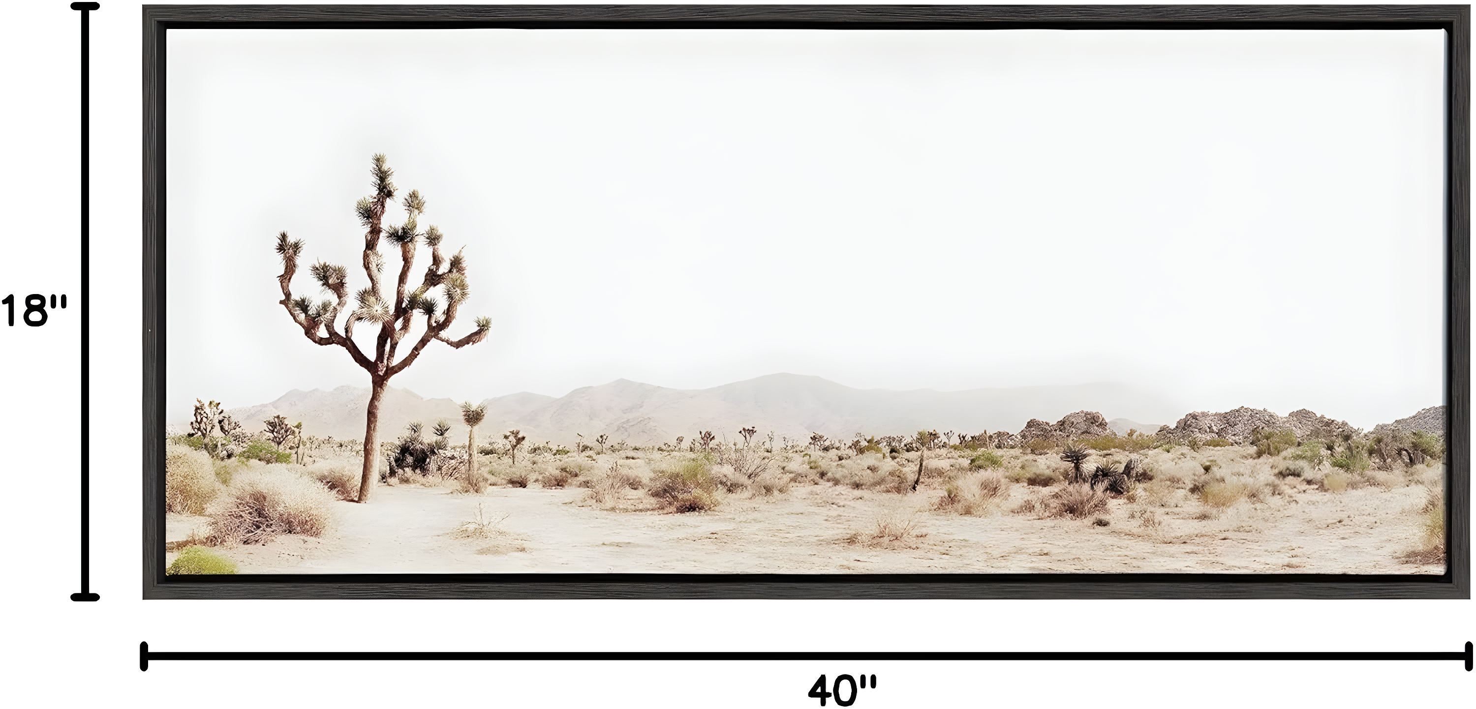Gray Framed Joshua Tree Desert Landscape Canvas Art, 18x40