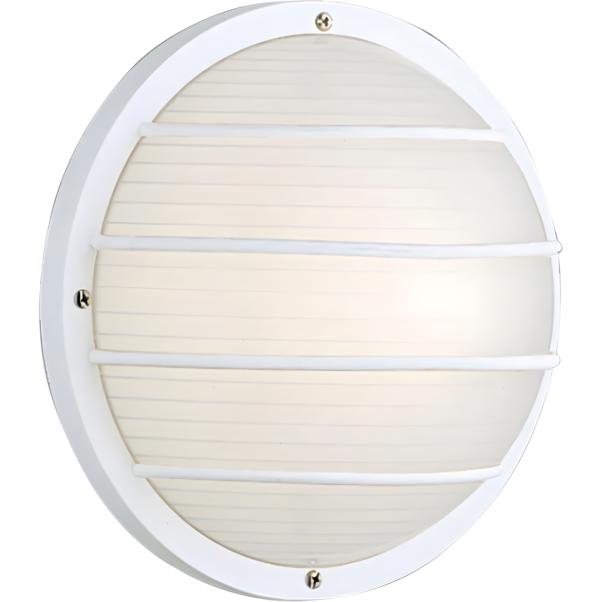 Progress Lighting, Bulkhead Collection, 1-Light Wall/Ceiling Mount, White, Cage, Polycarbonate, Wet Rated